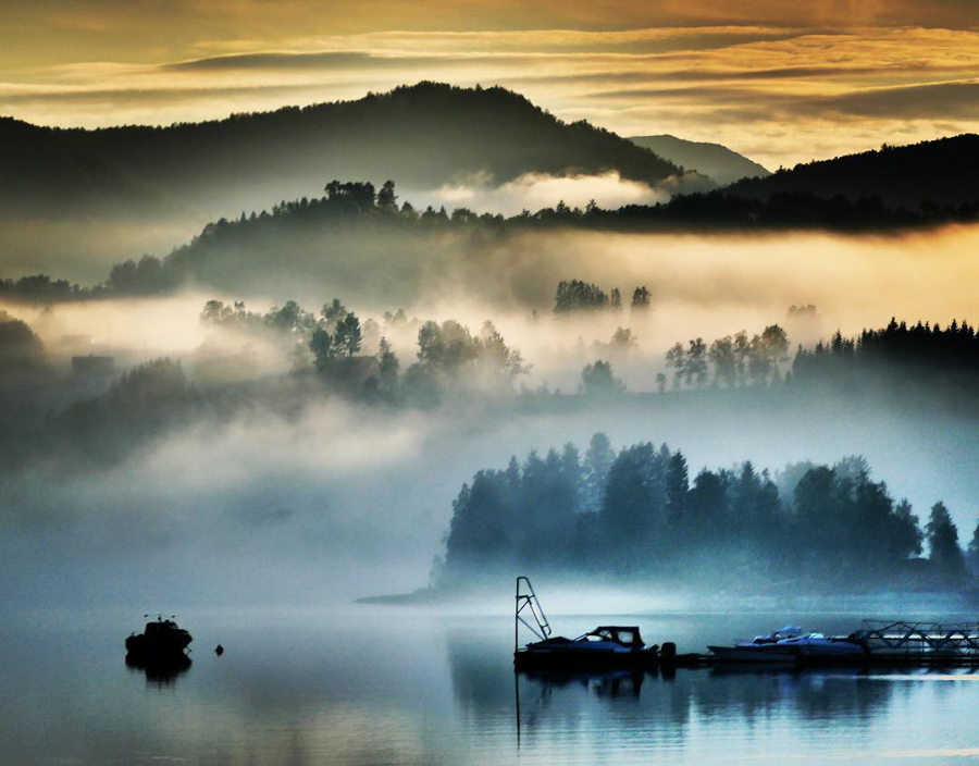 Magic landscape