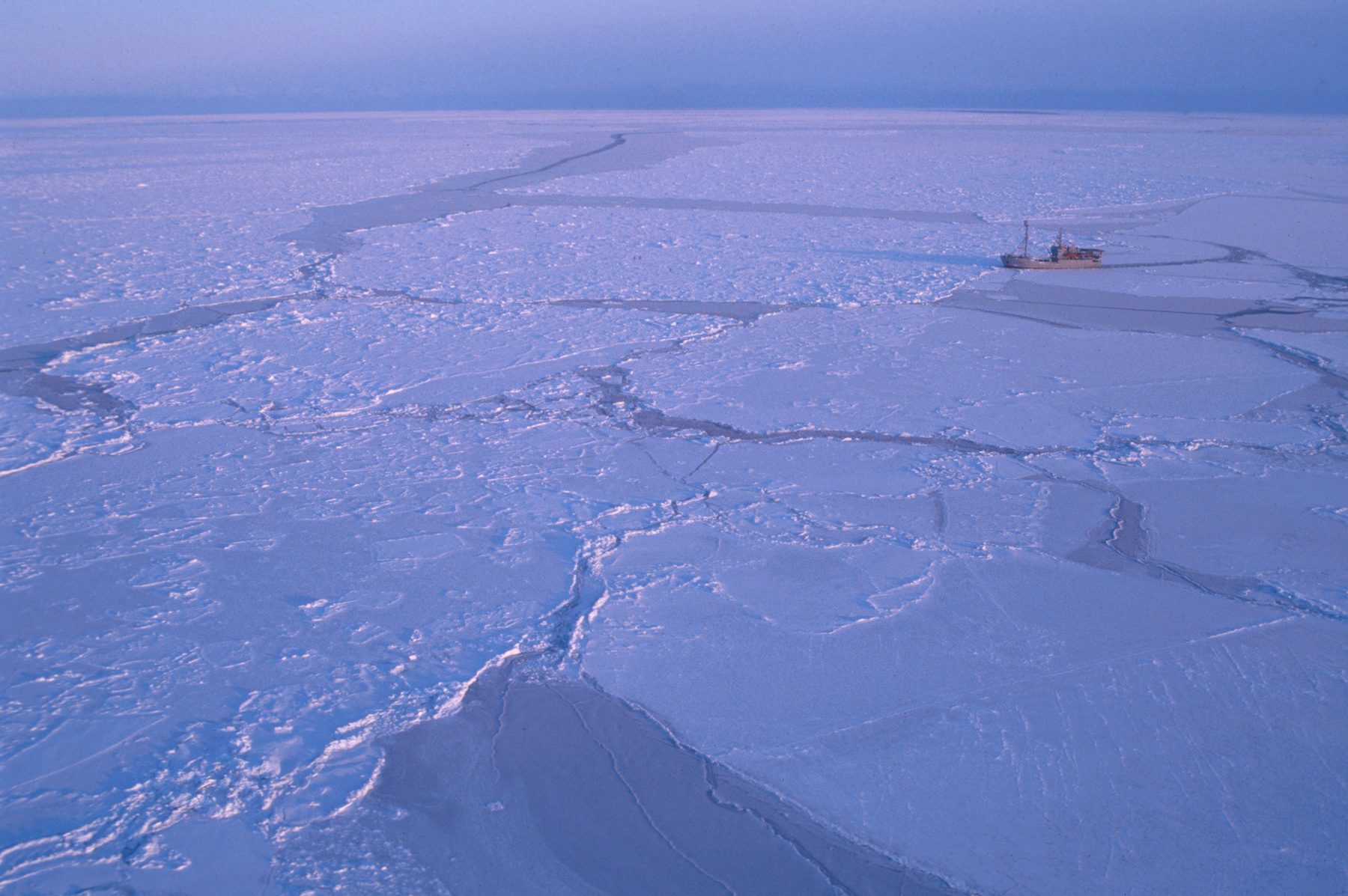 Research vessel in the sea ice