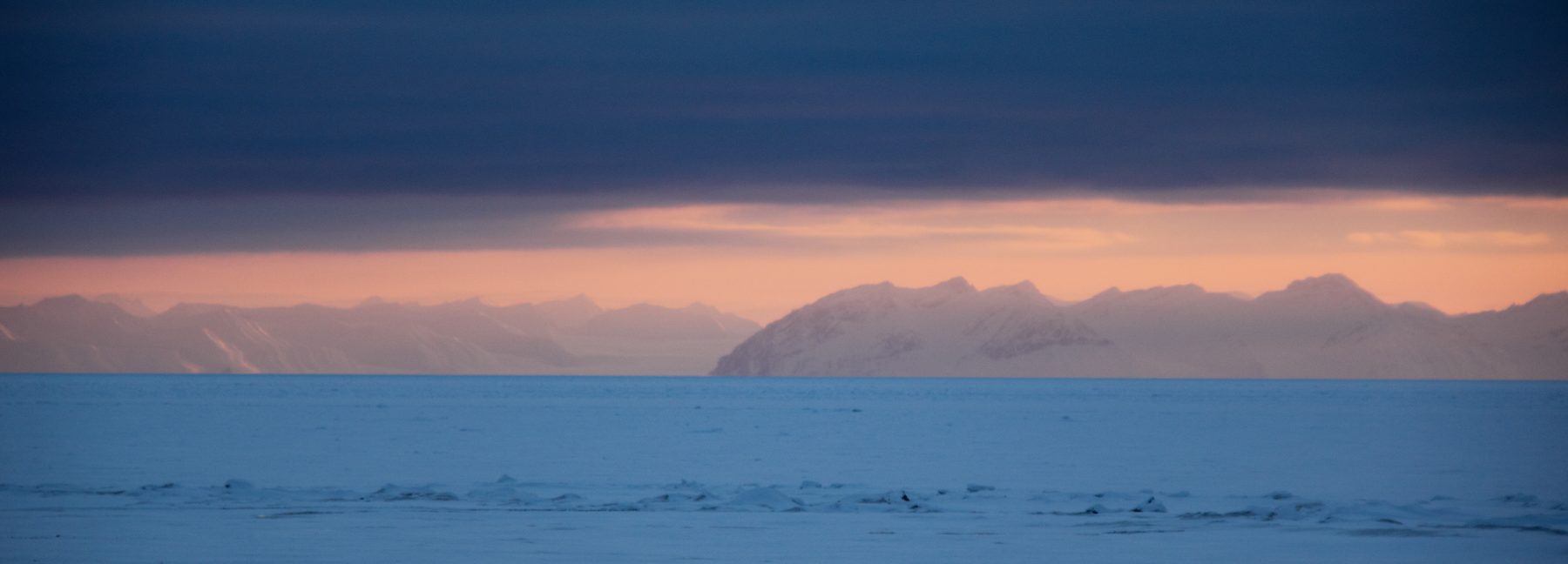 Evening landscape
