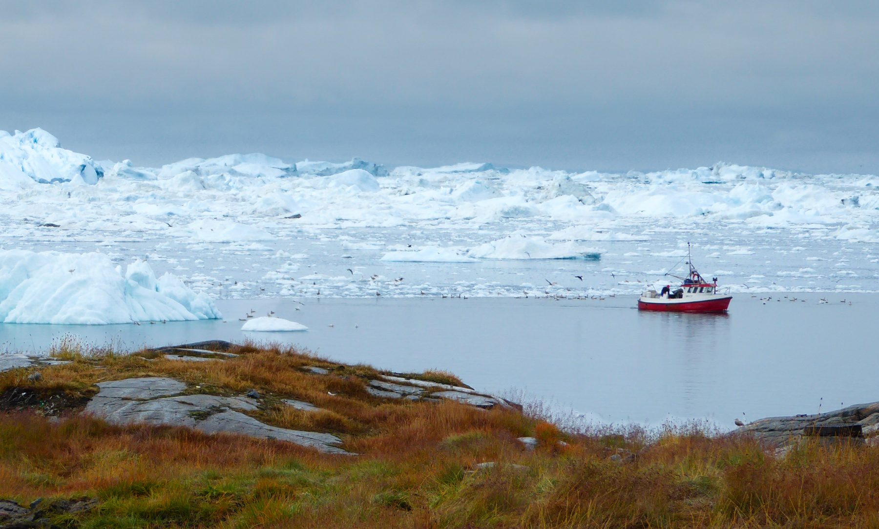 Glacier front landscape