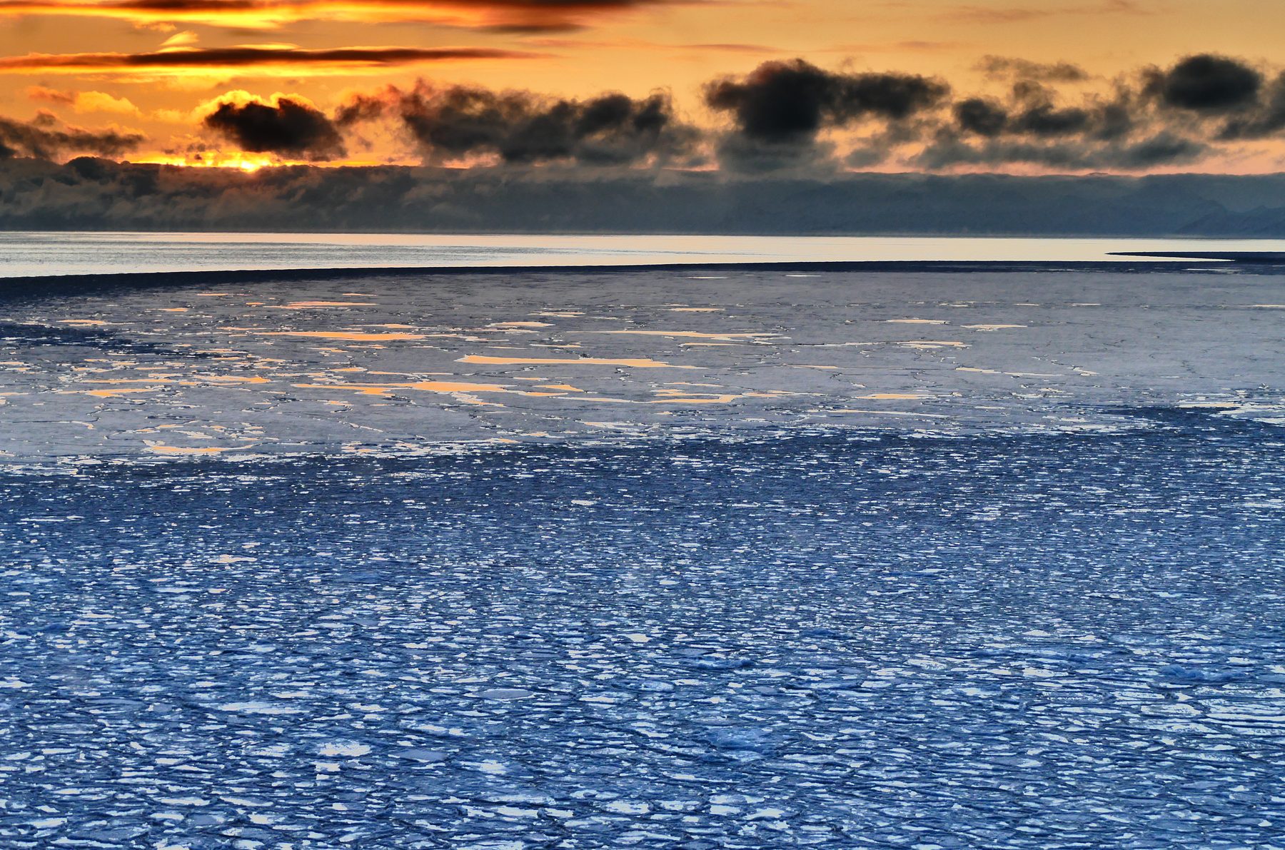 Sea ice landscape