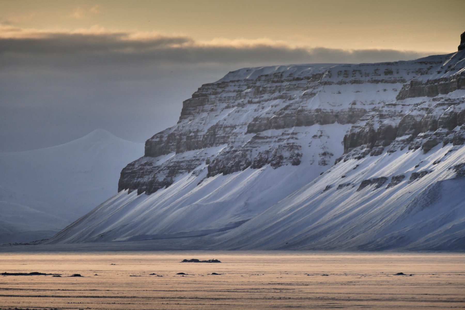 Arctic landscape