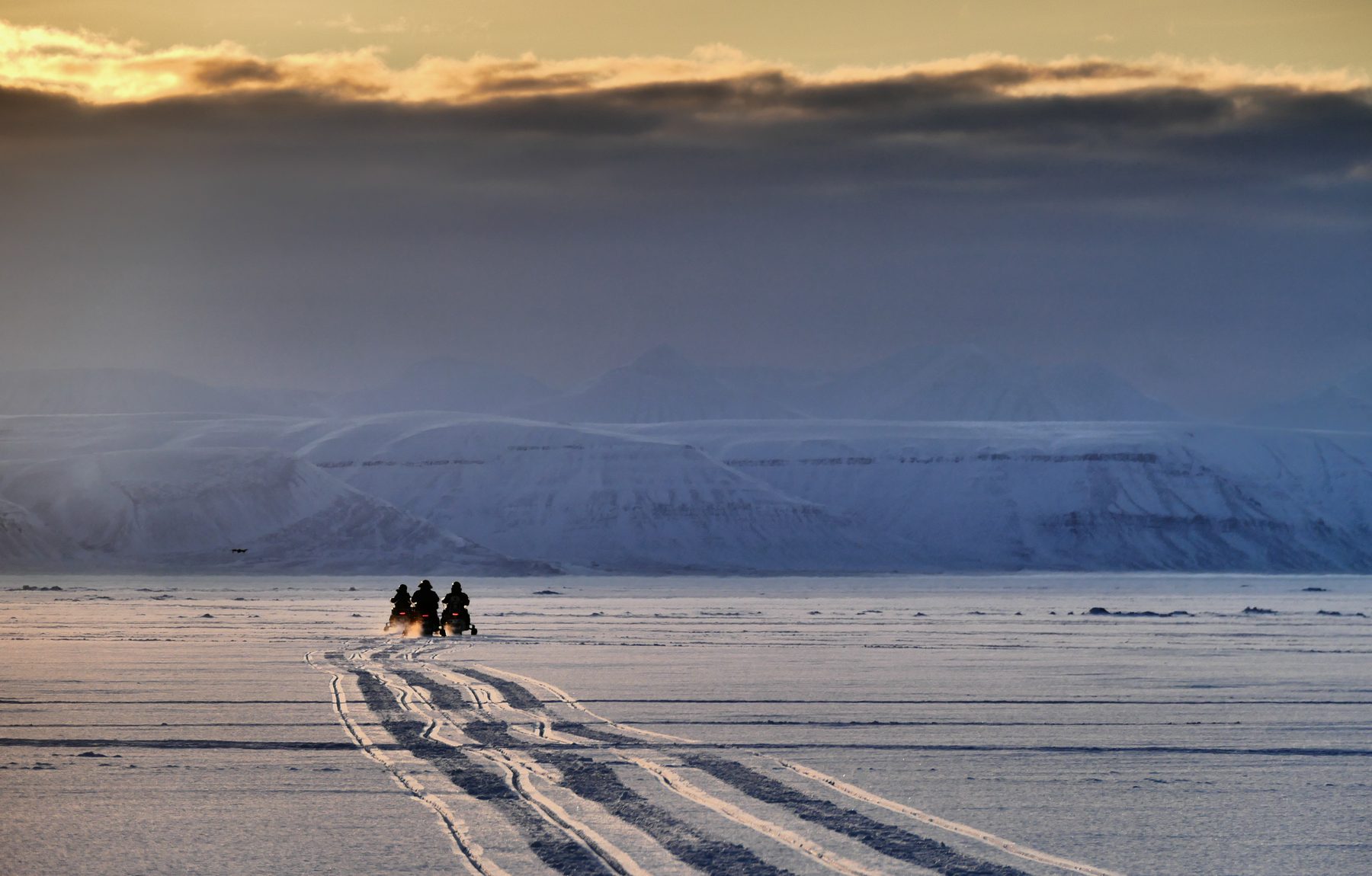 Snow mobiles on sea ice