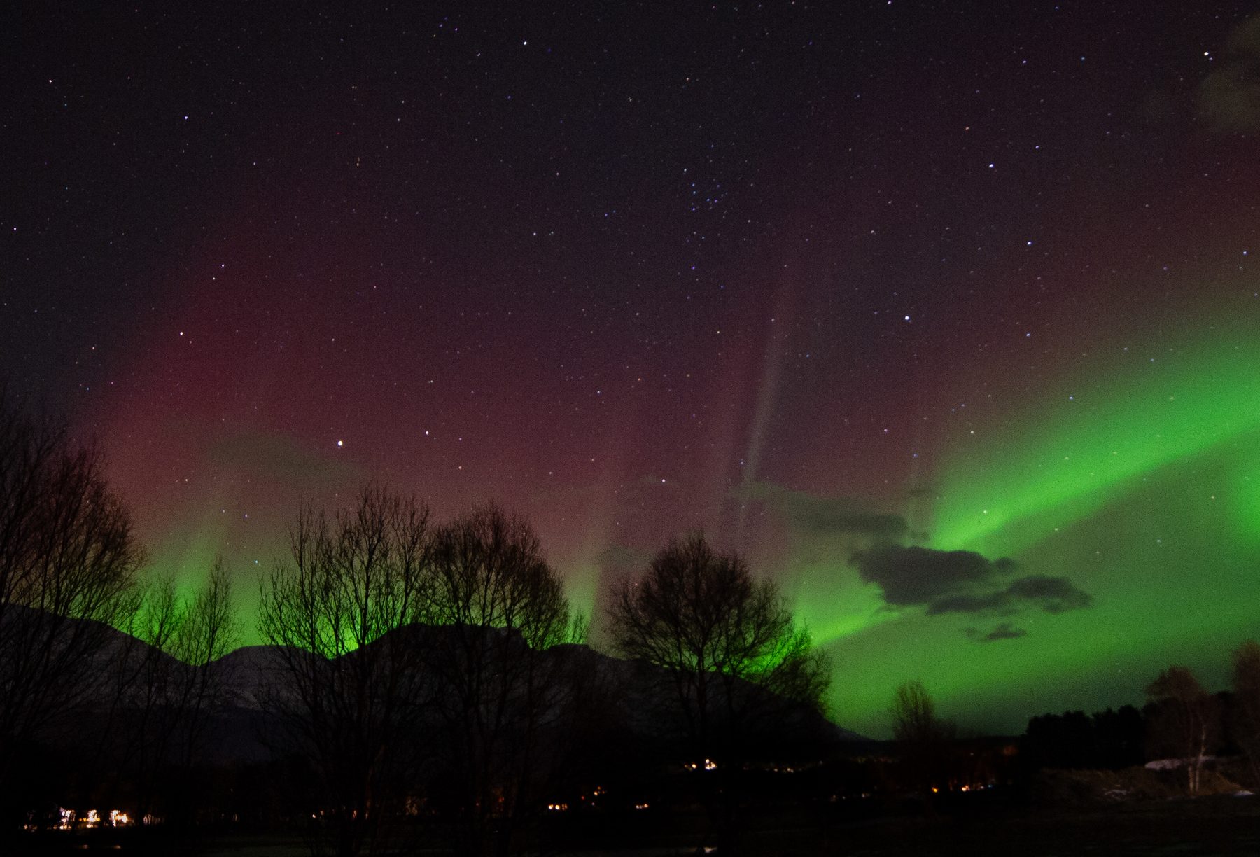Aurora reds