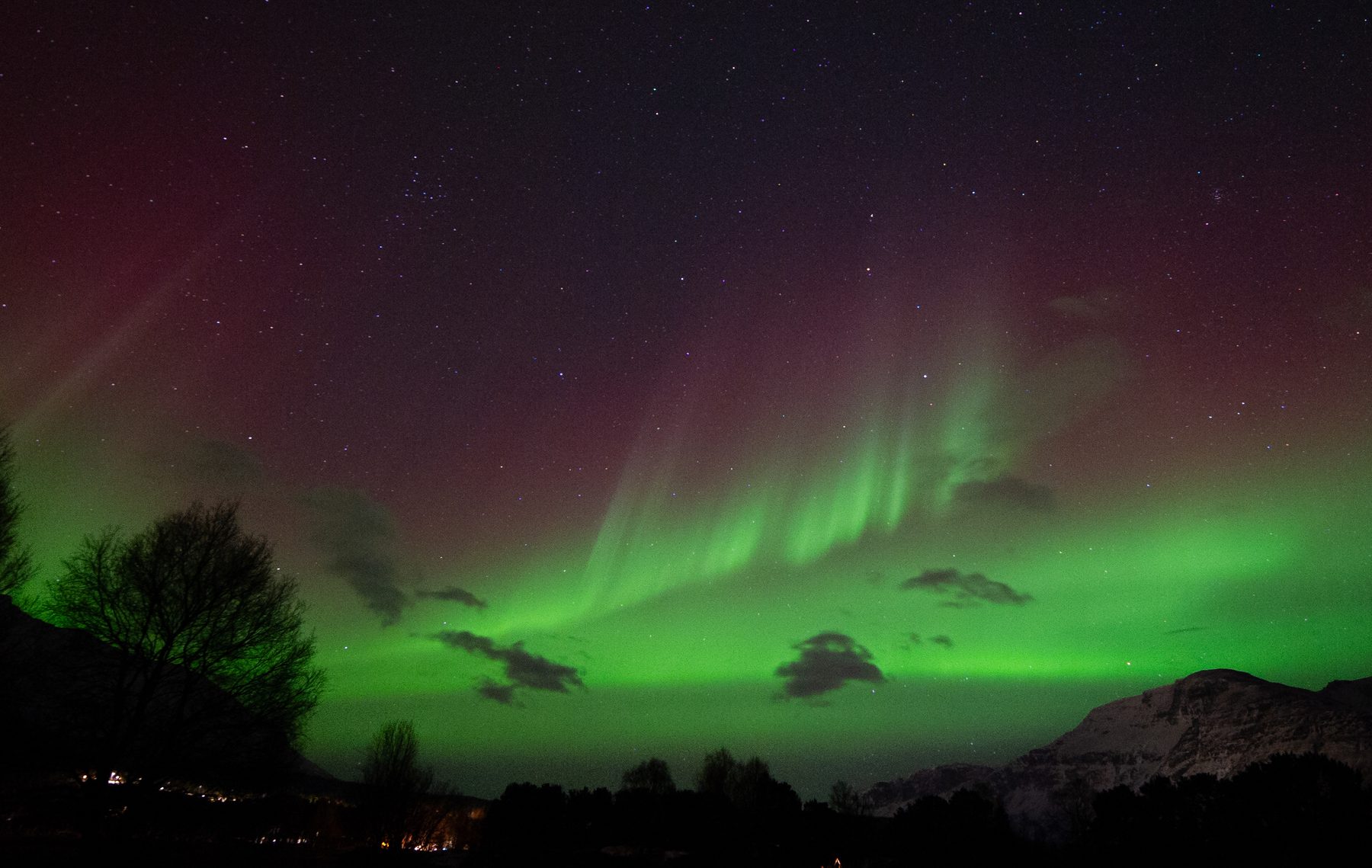 Aurora reds and purples