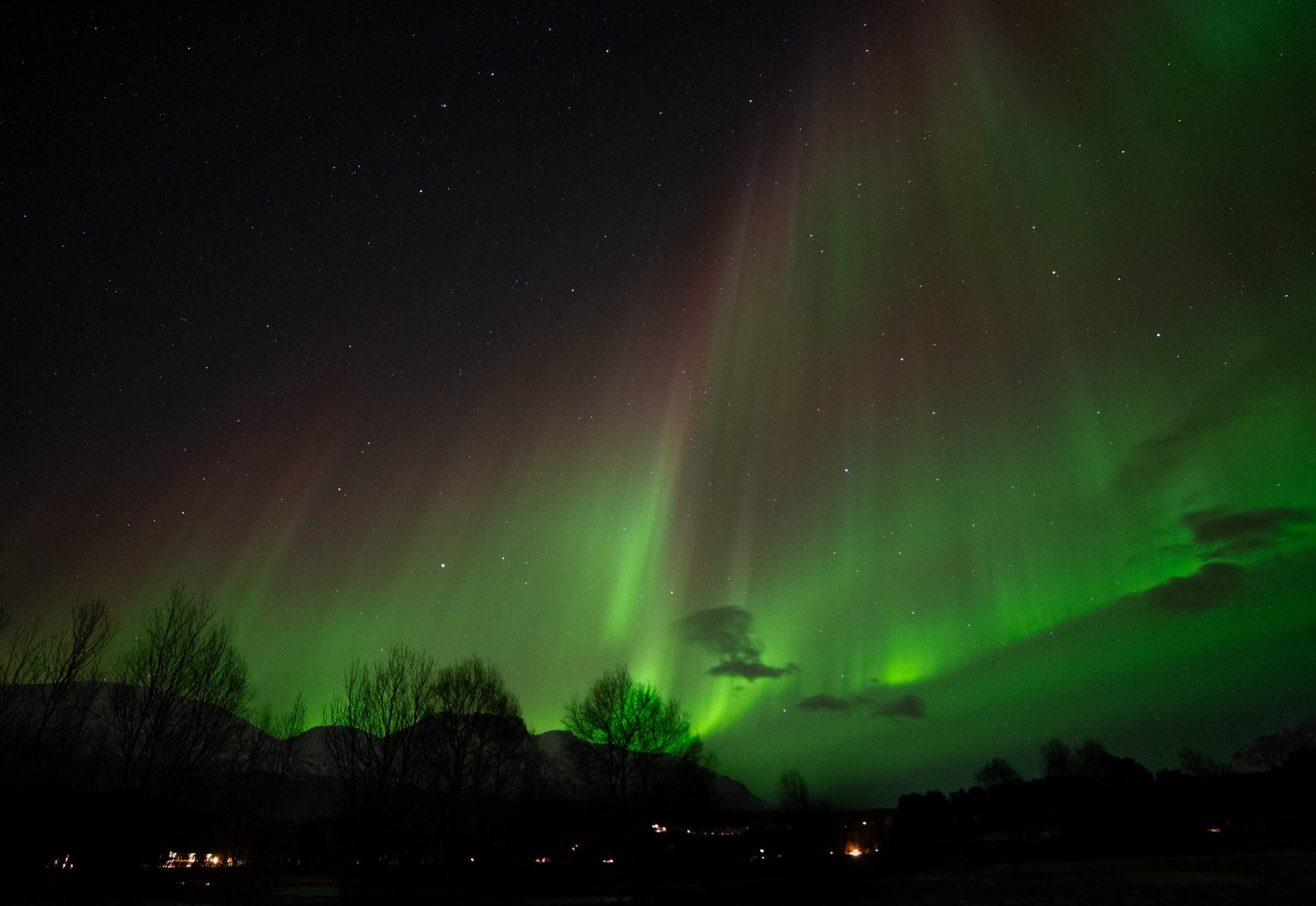 Aurora reds and purples