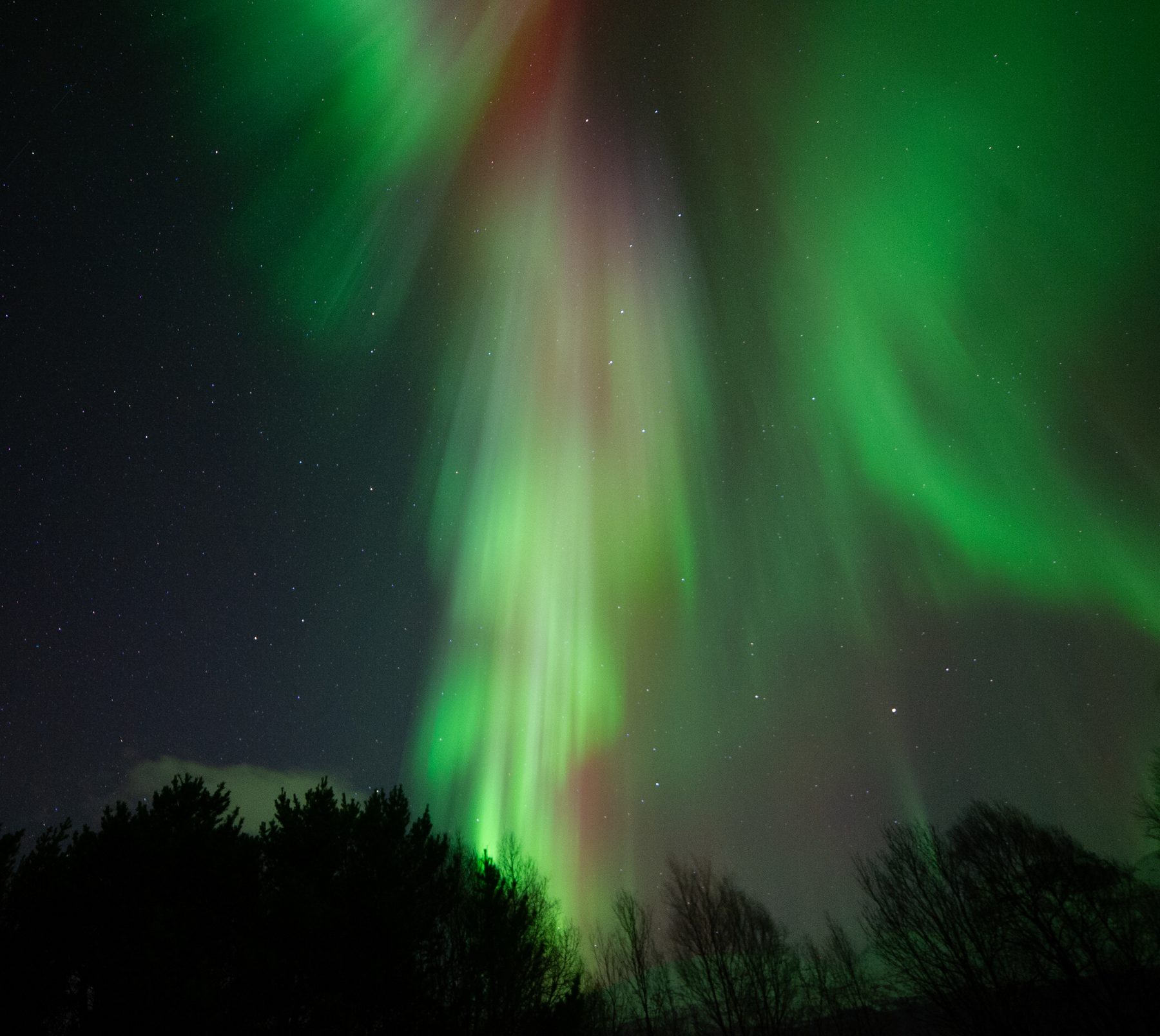 Aurora