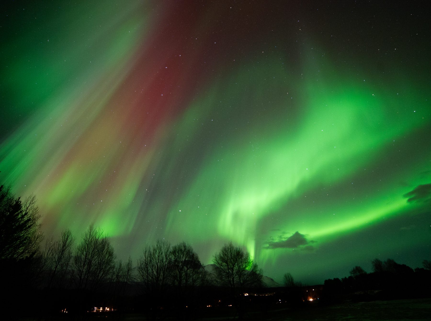 Aurora