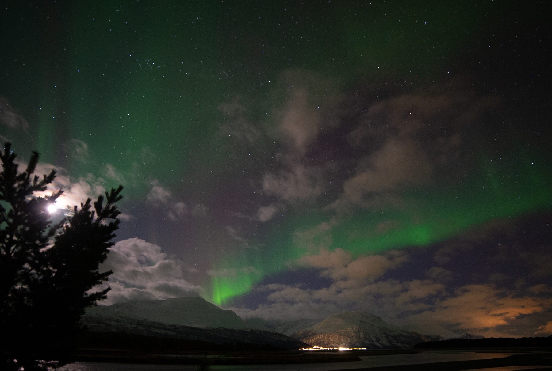 Aurora