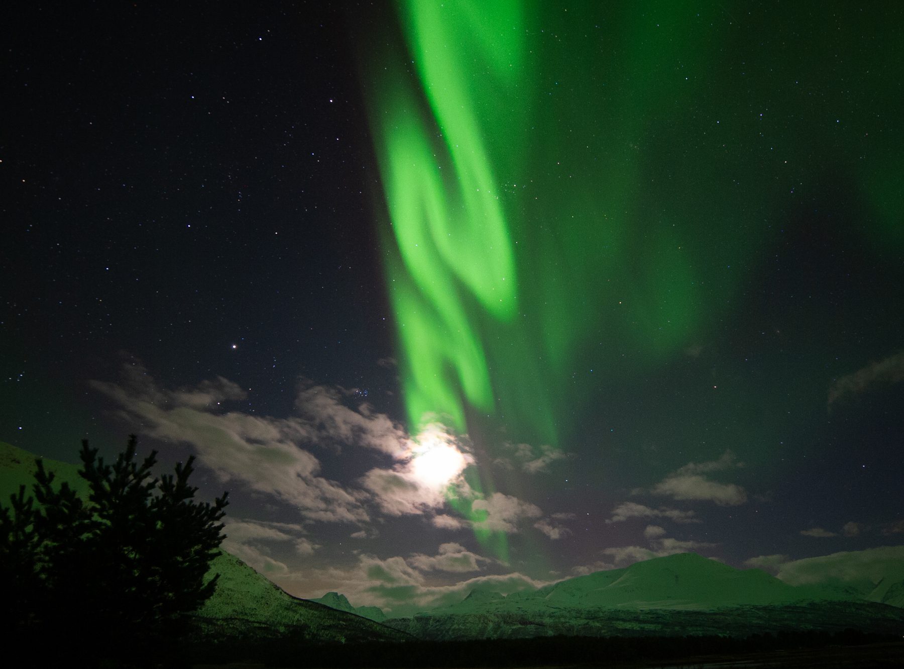 Aurora