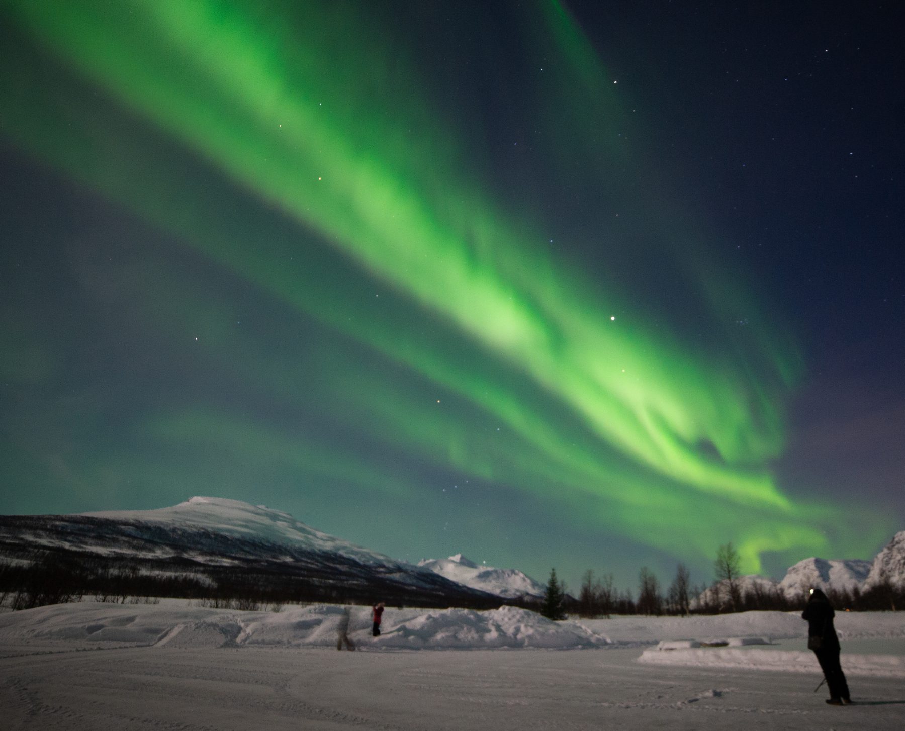 Aurora