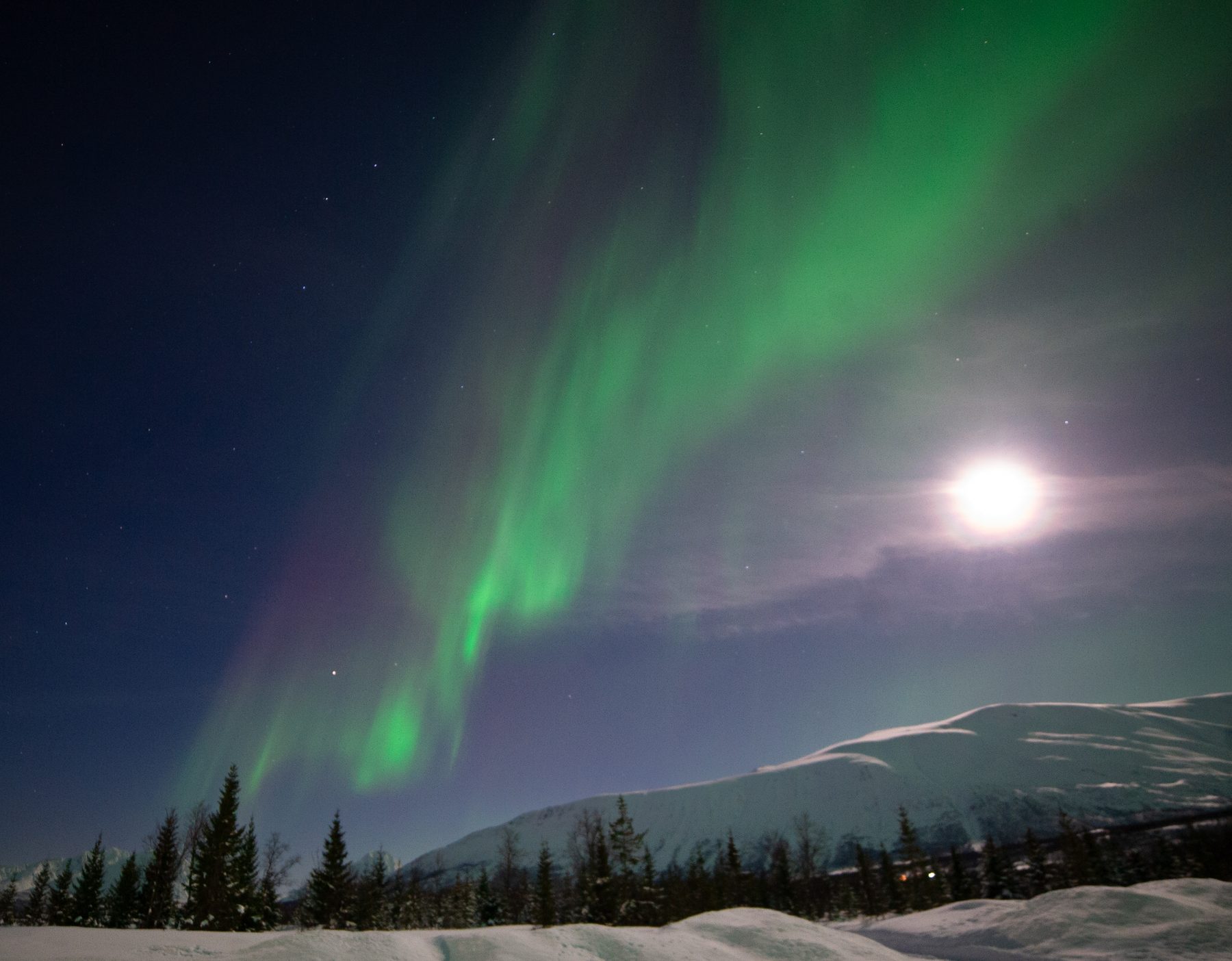 Aurora