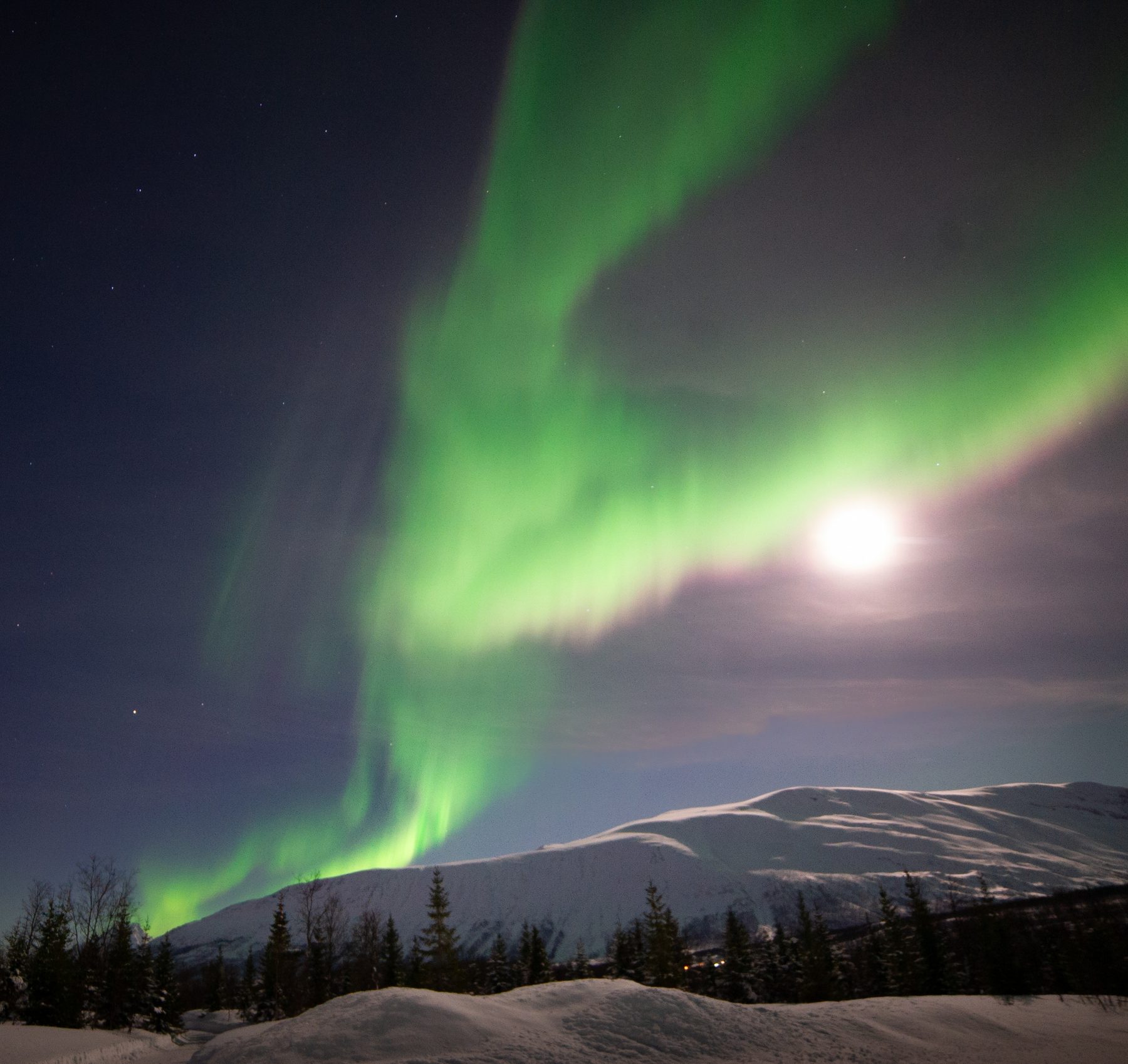 Aurora