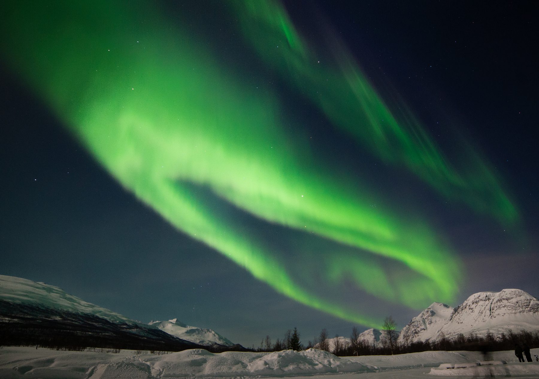 Aurora