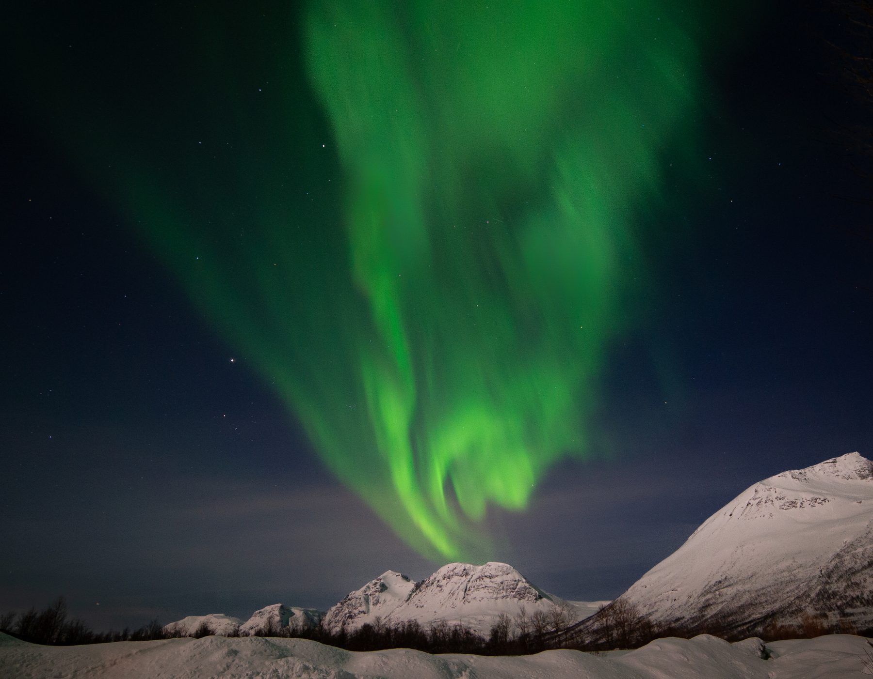 Aurora