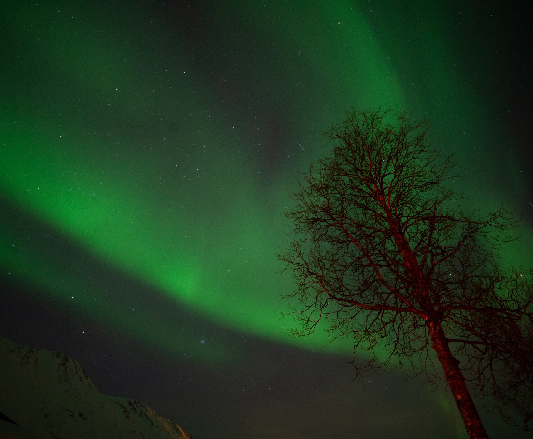 Aurora