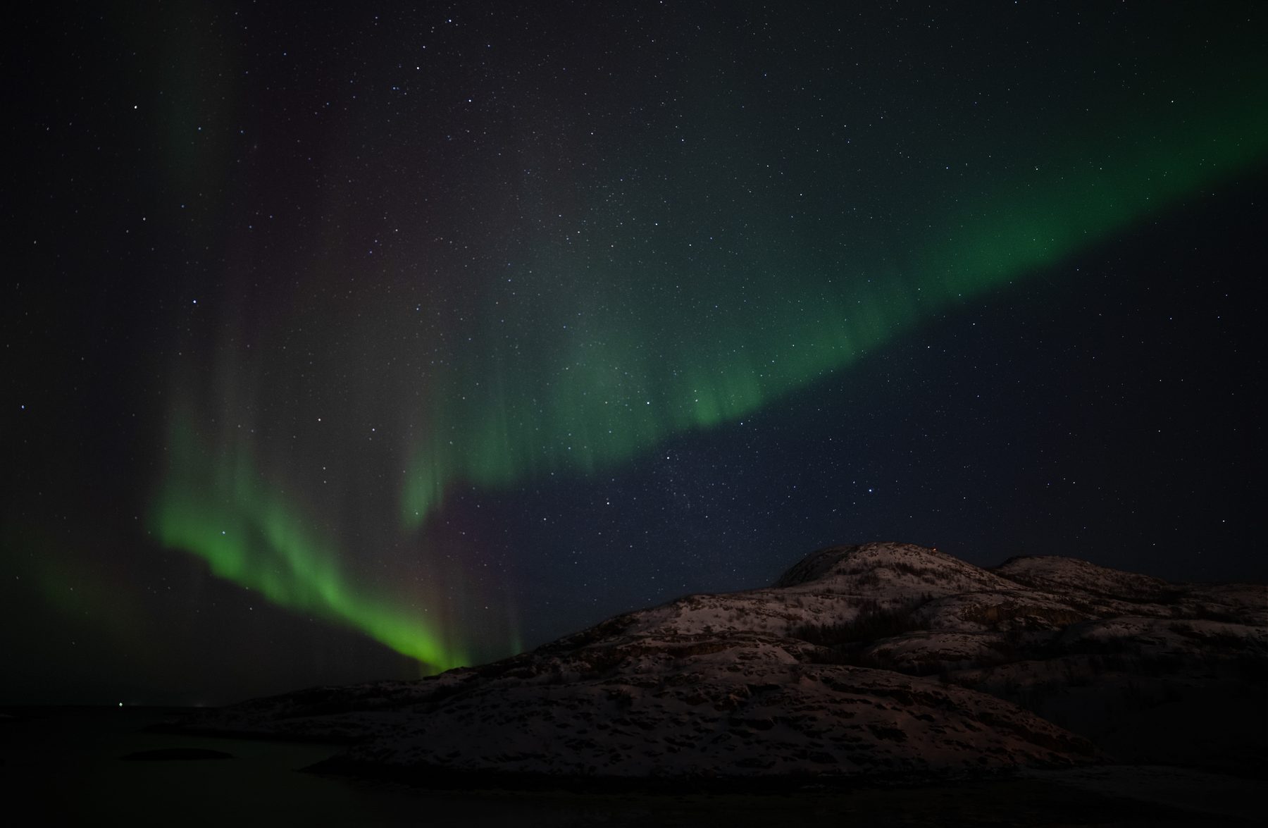 Aurora