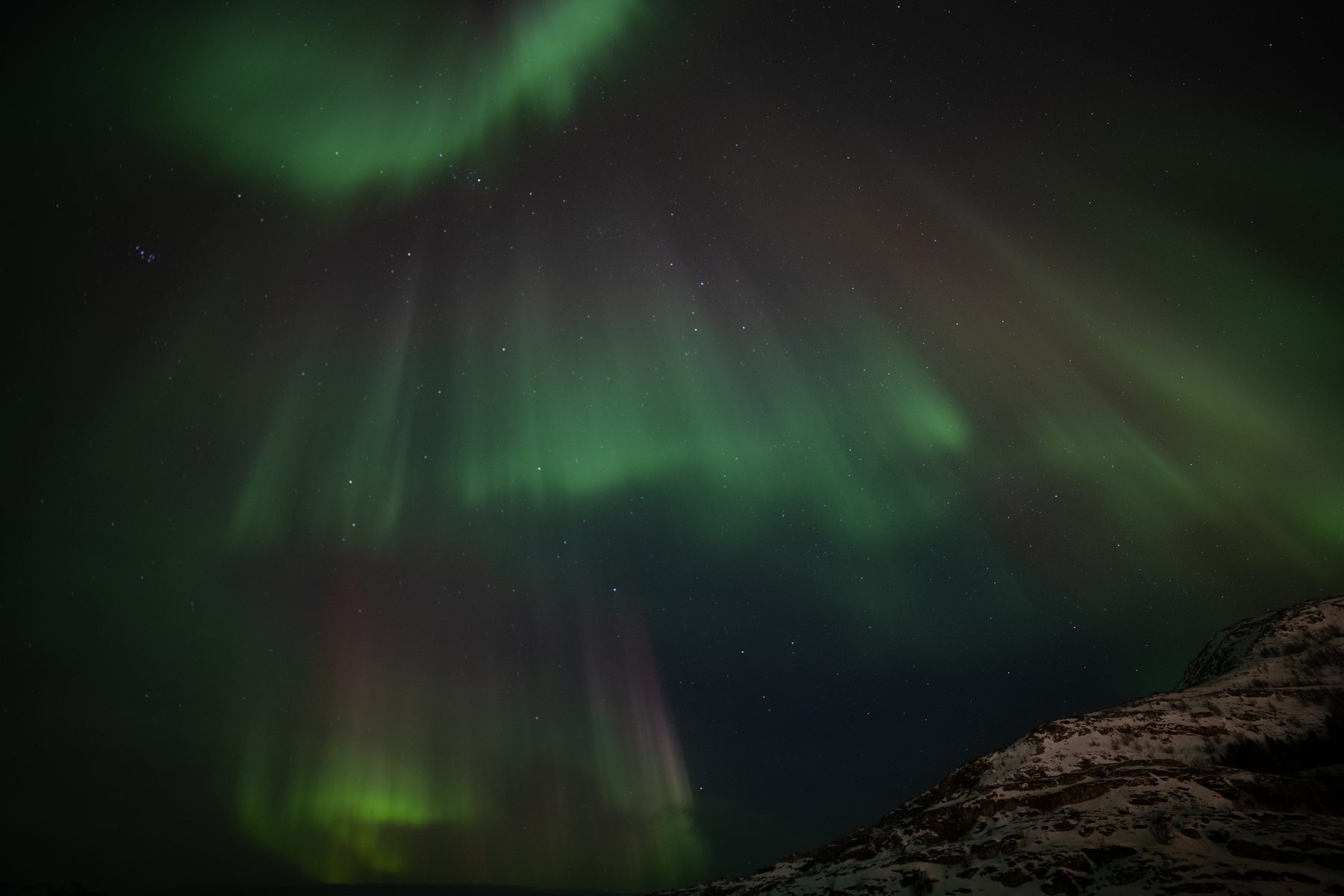 Aurora