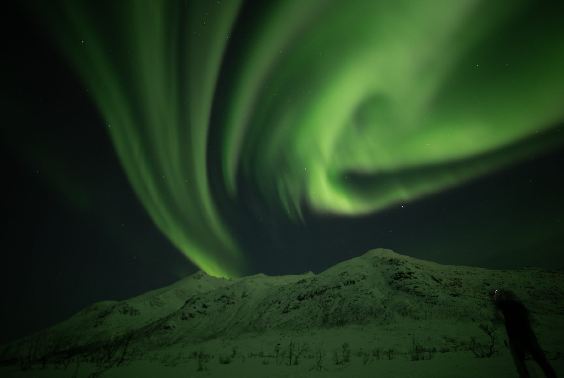 Aurora