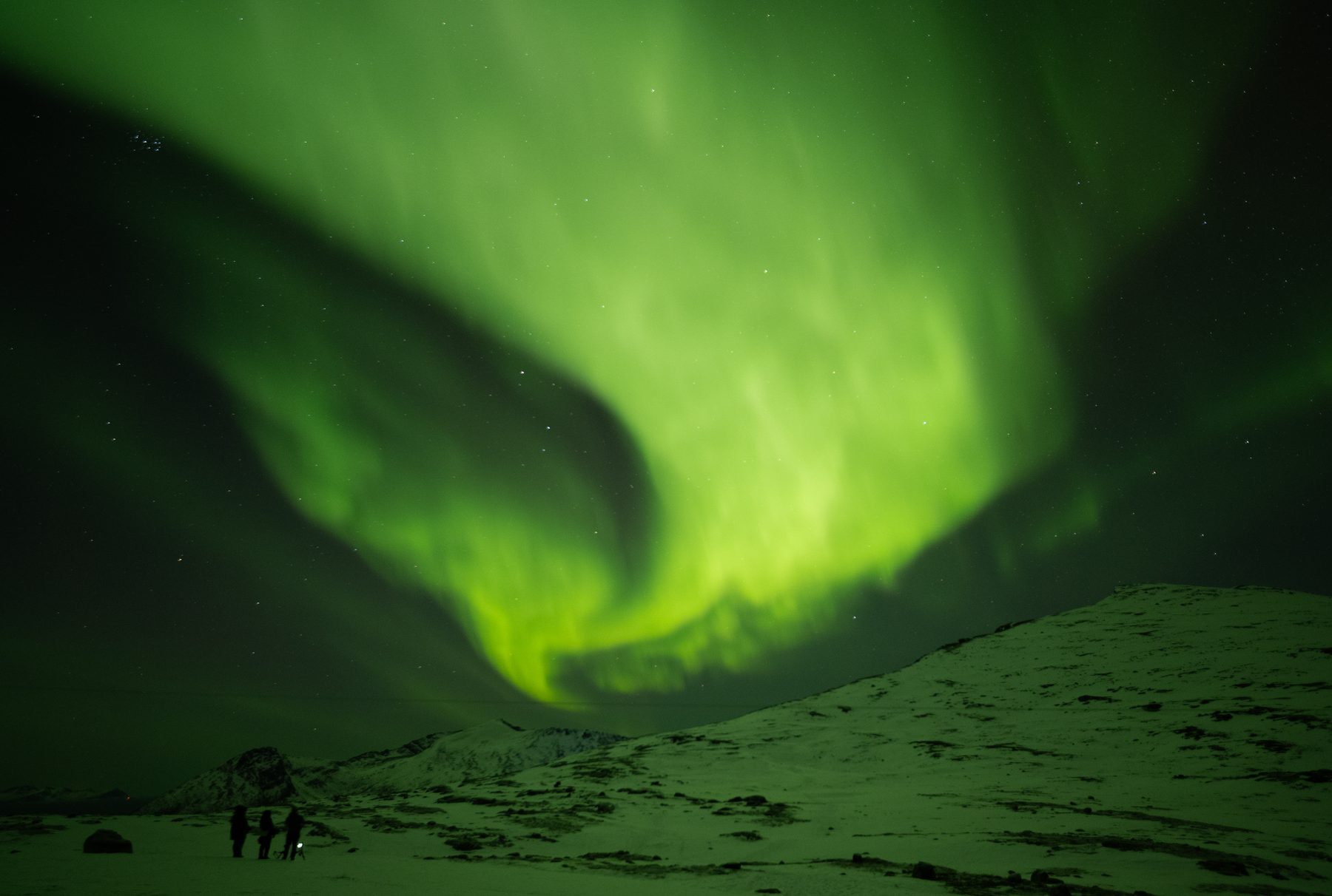 Aurora