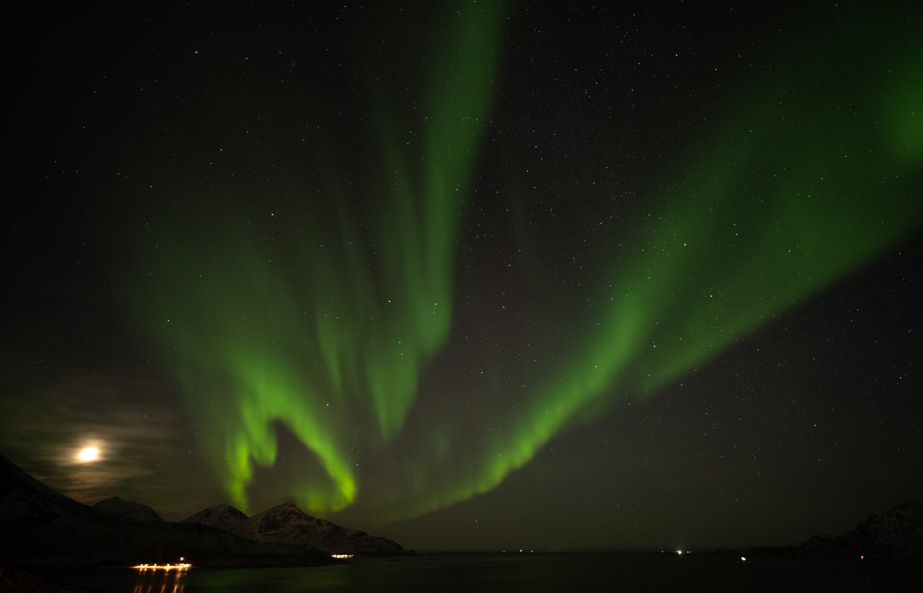 Aurora