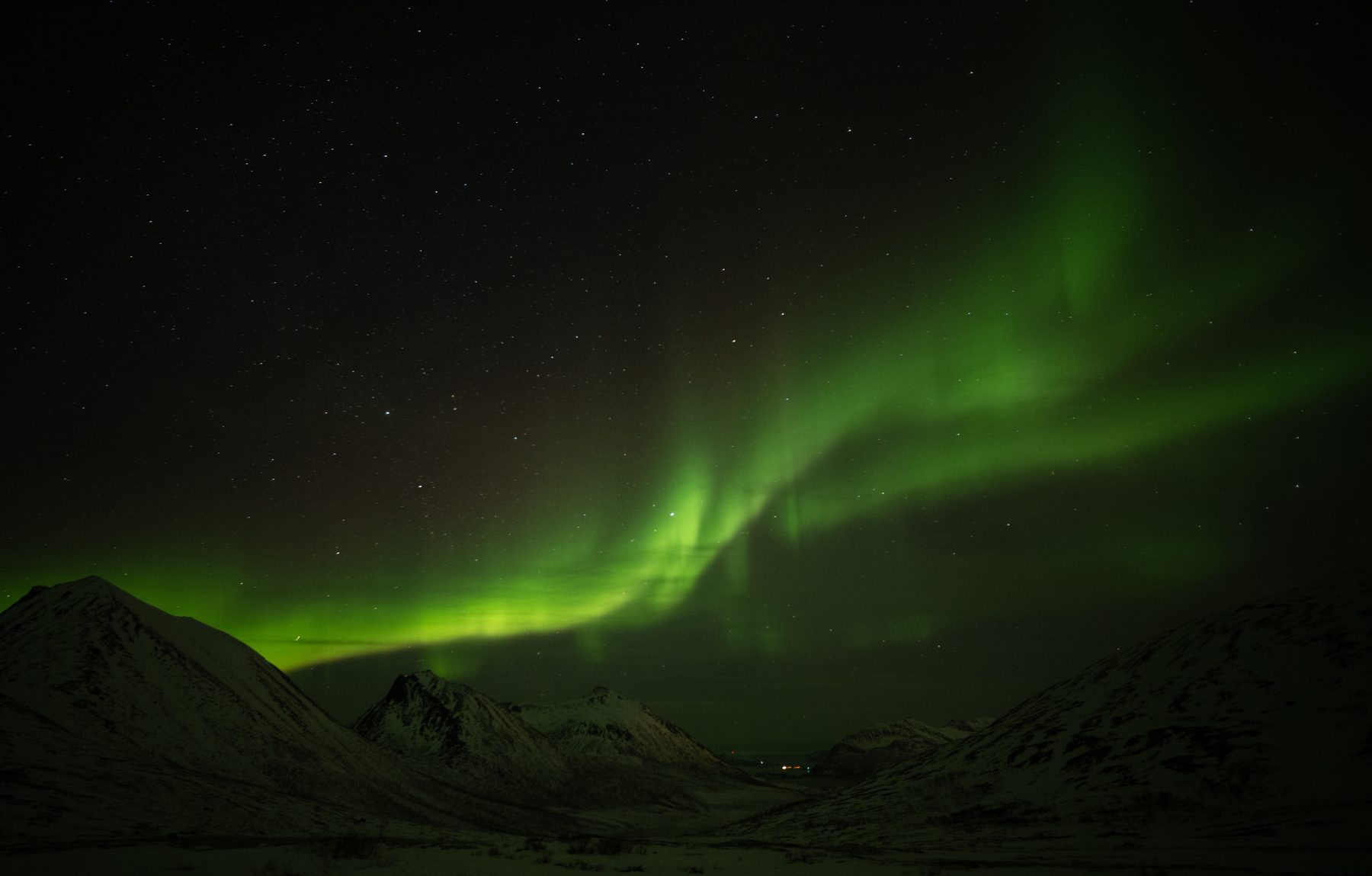 Aurora