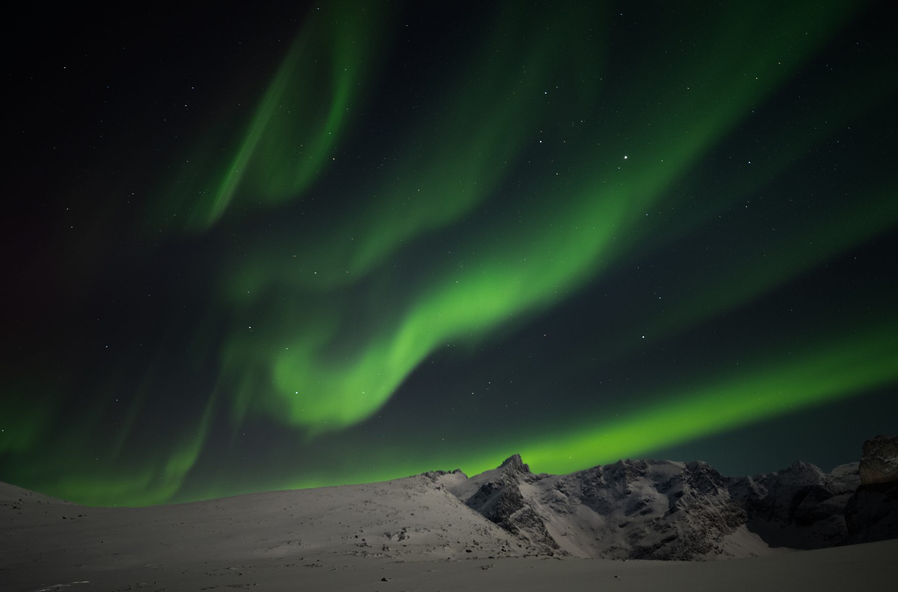 Aurora