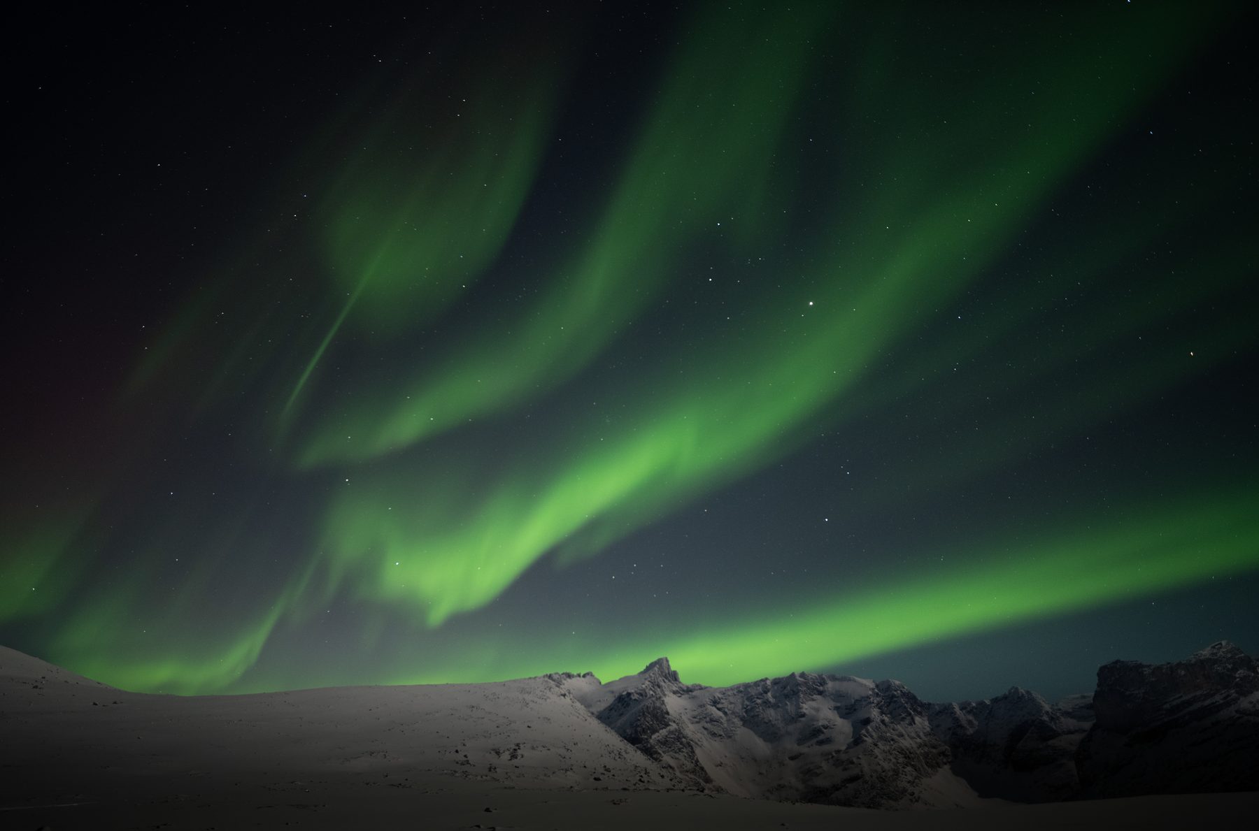 Aurora