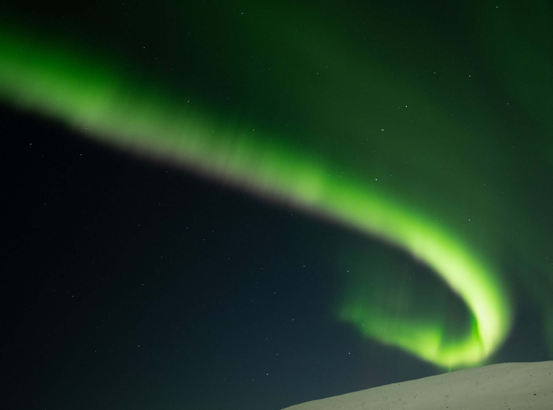 Aurora