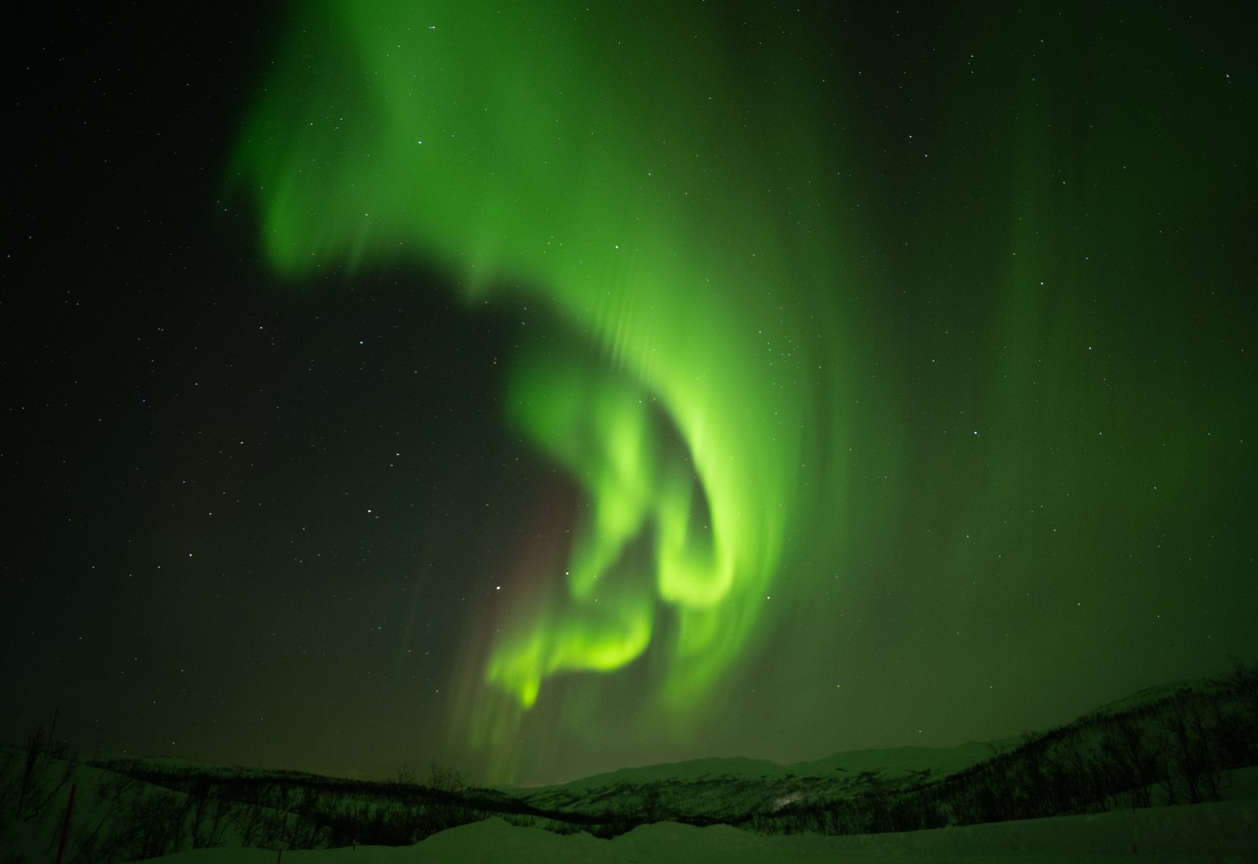 Aurora