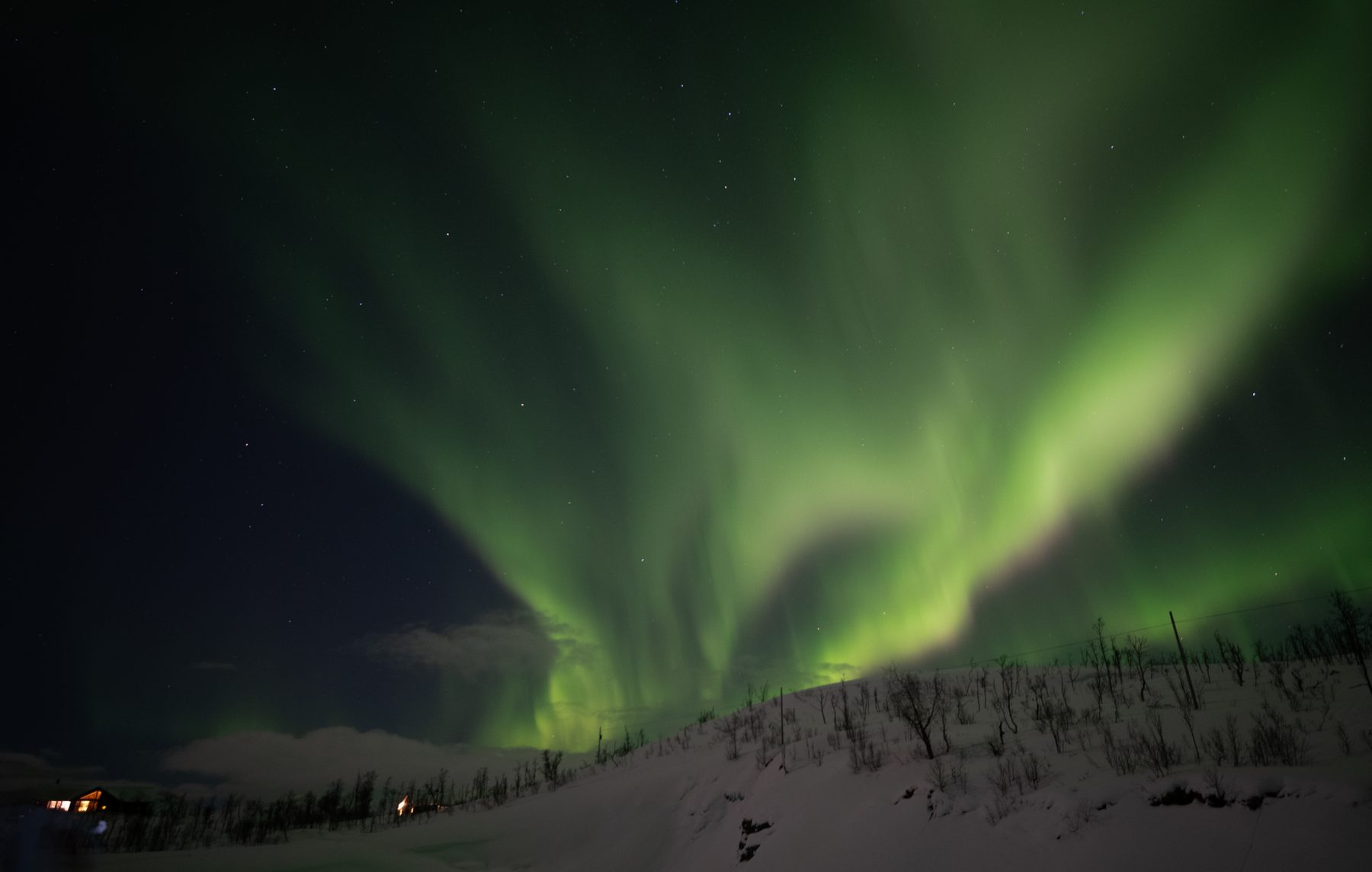 Aurora