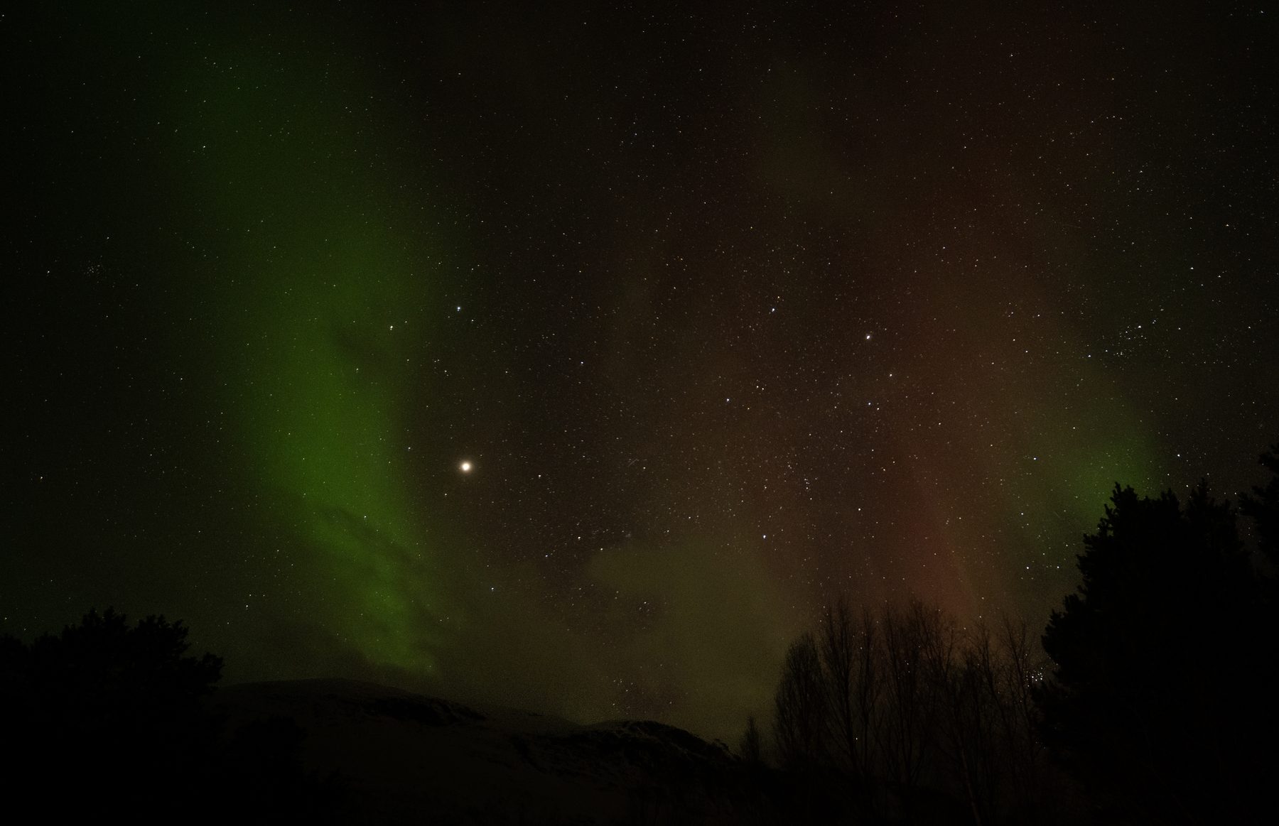 Aurora