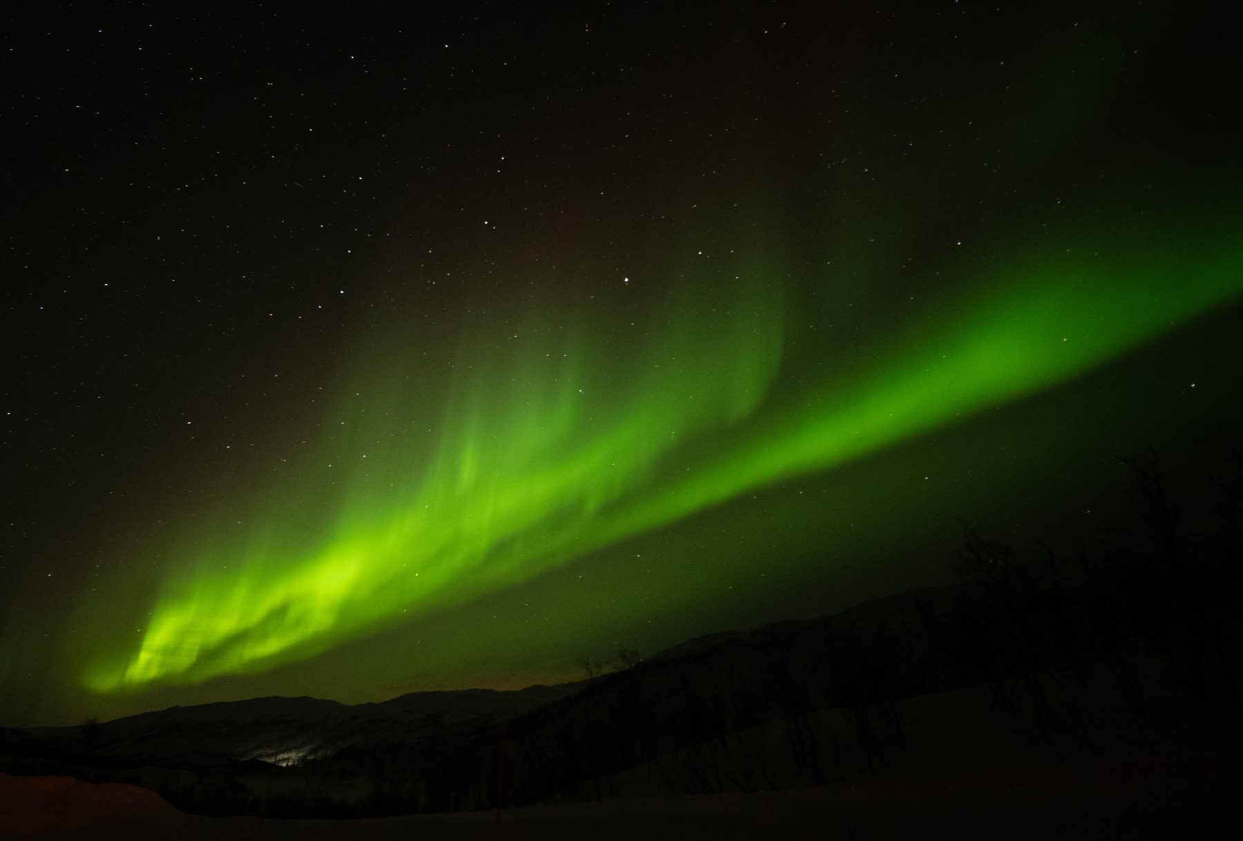 Aurora