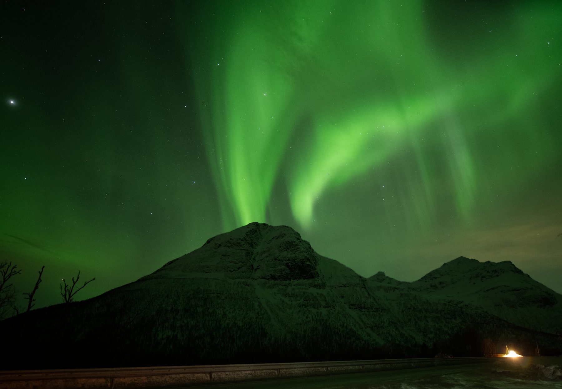 Aurora