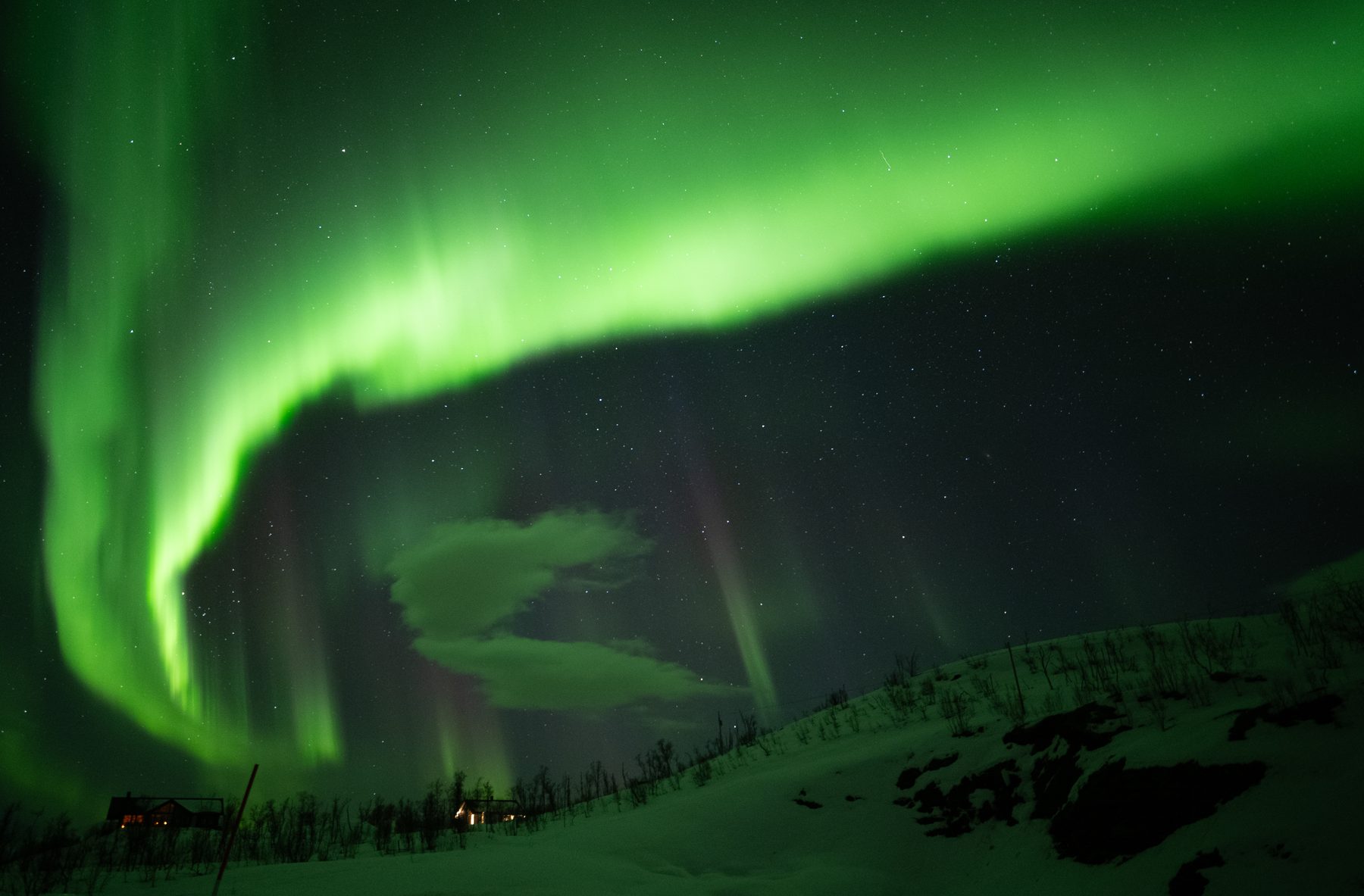 Aurora