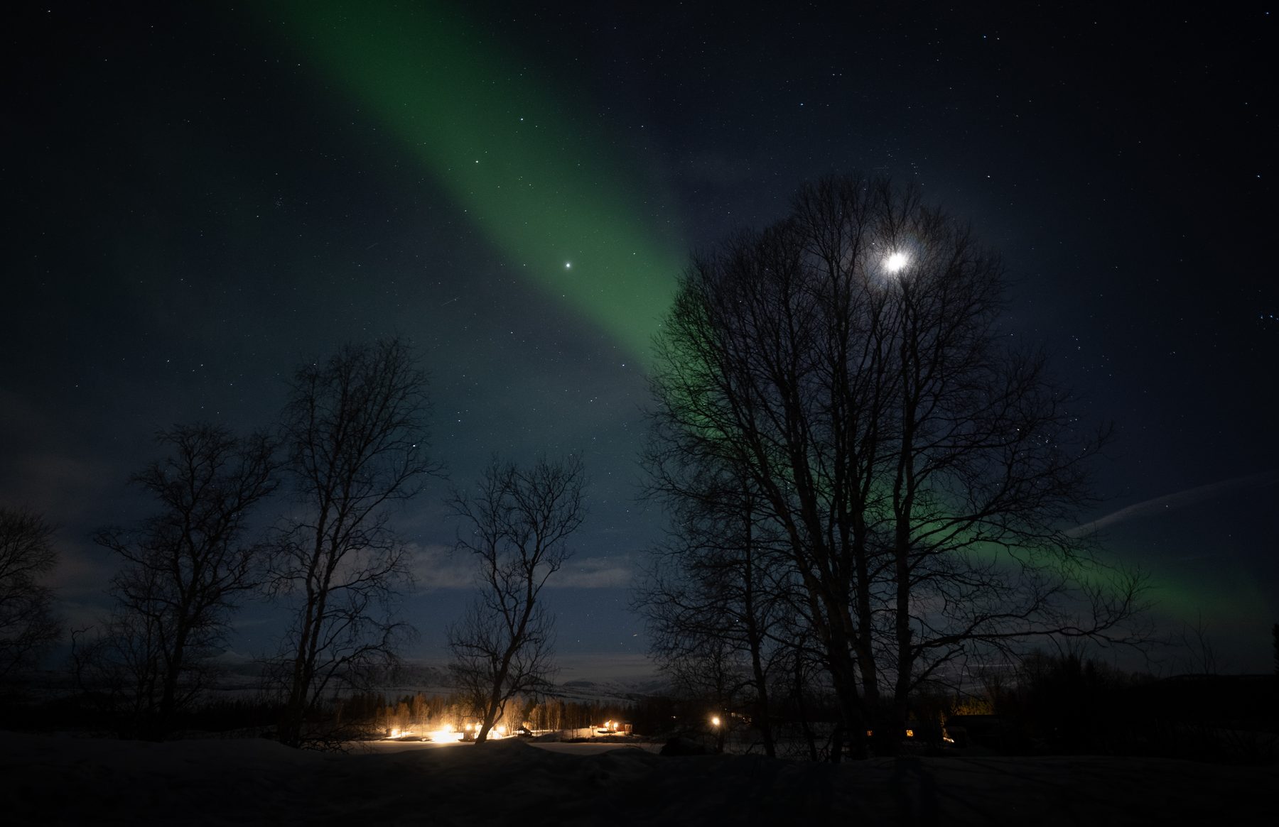 Aurora, the moon and trees