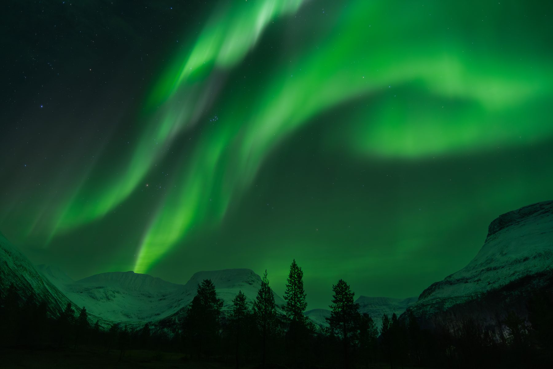 Aurora
