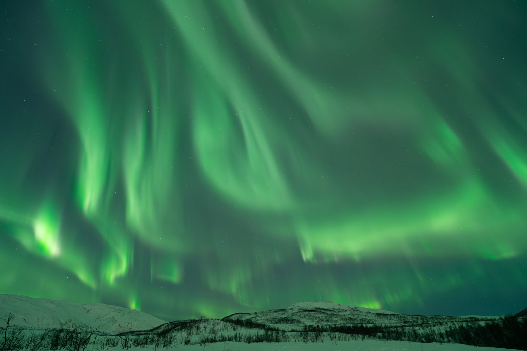 Aurora