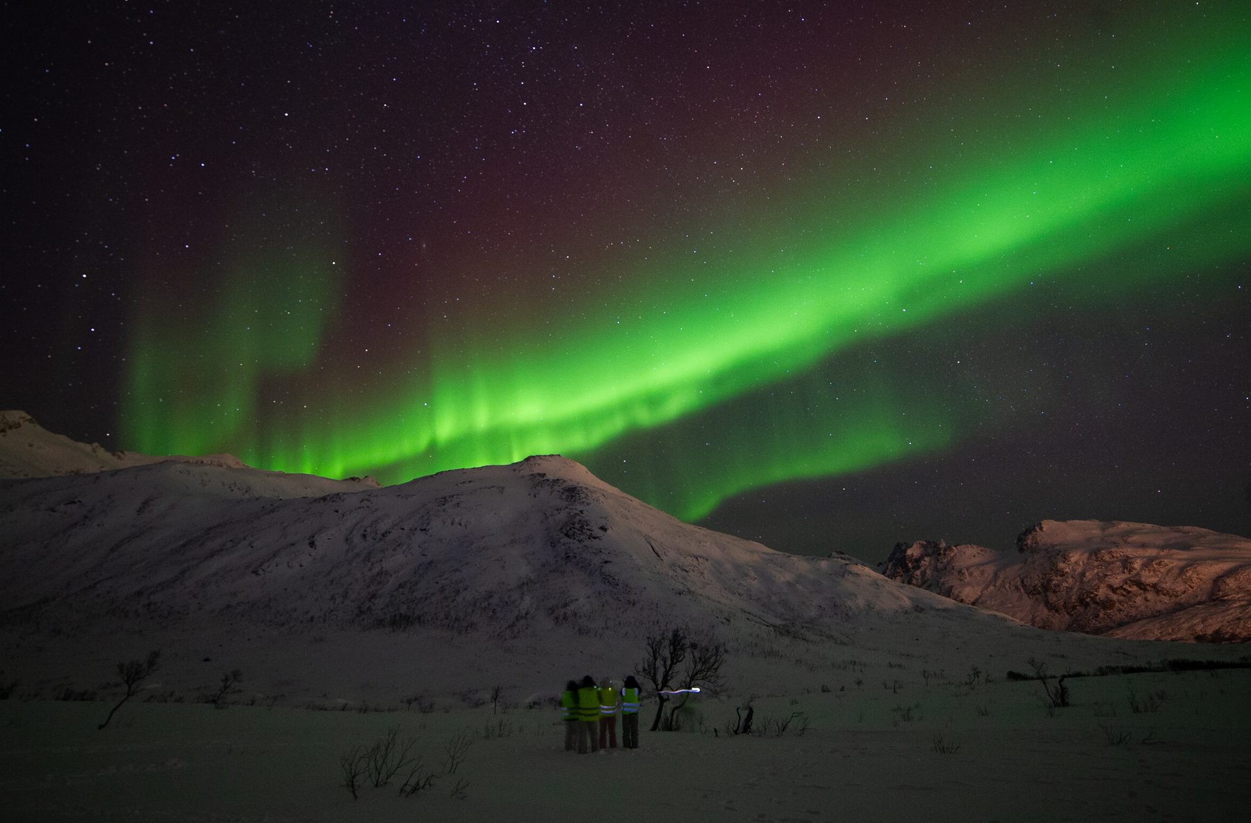 Aurora viewing