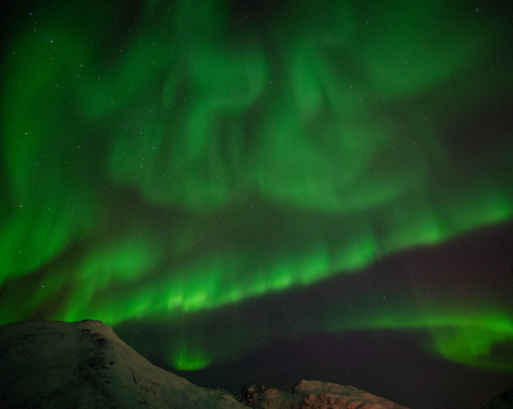 Aurora