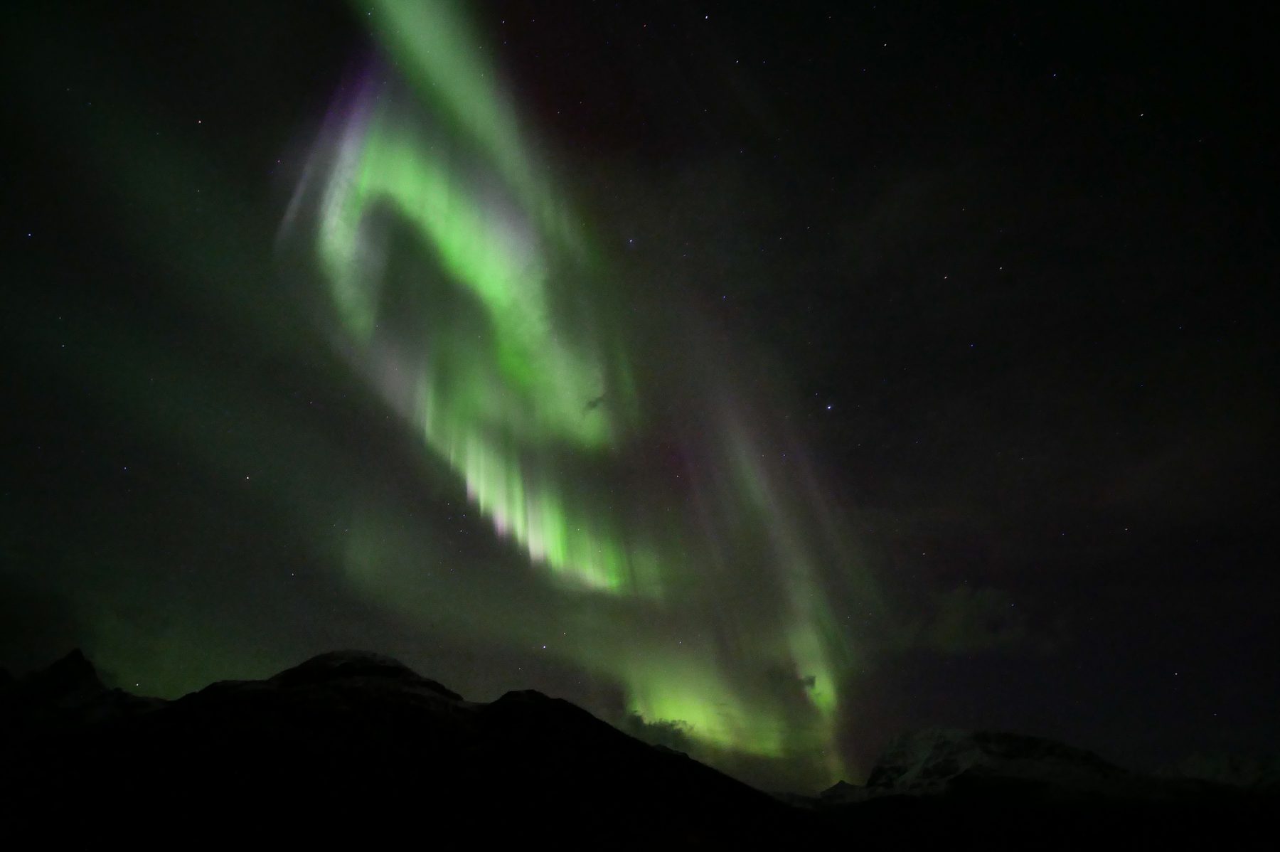 Aurora