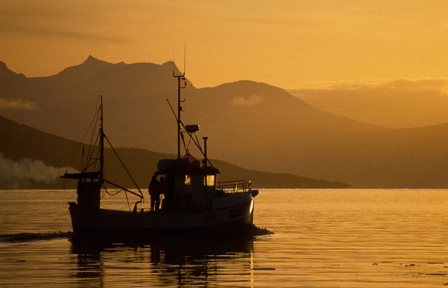 Gone morning fishing