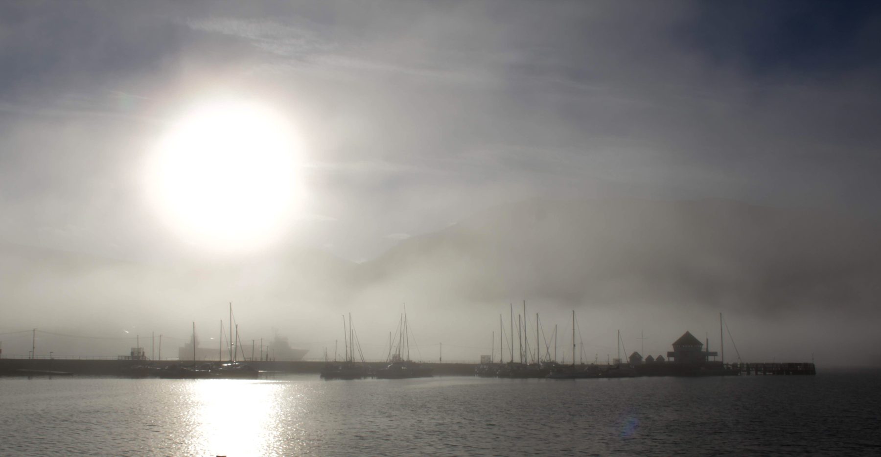 Foggy sun in the marina