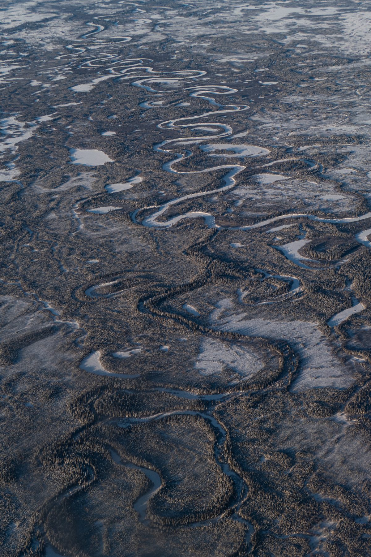 Meandering river