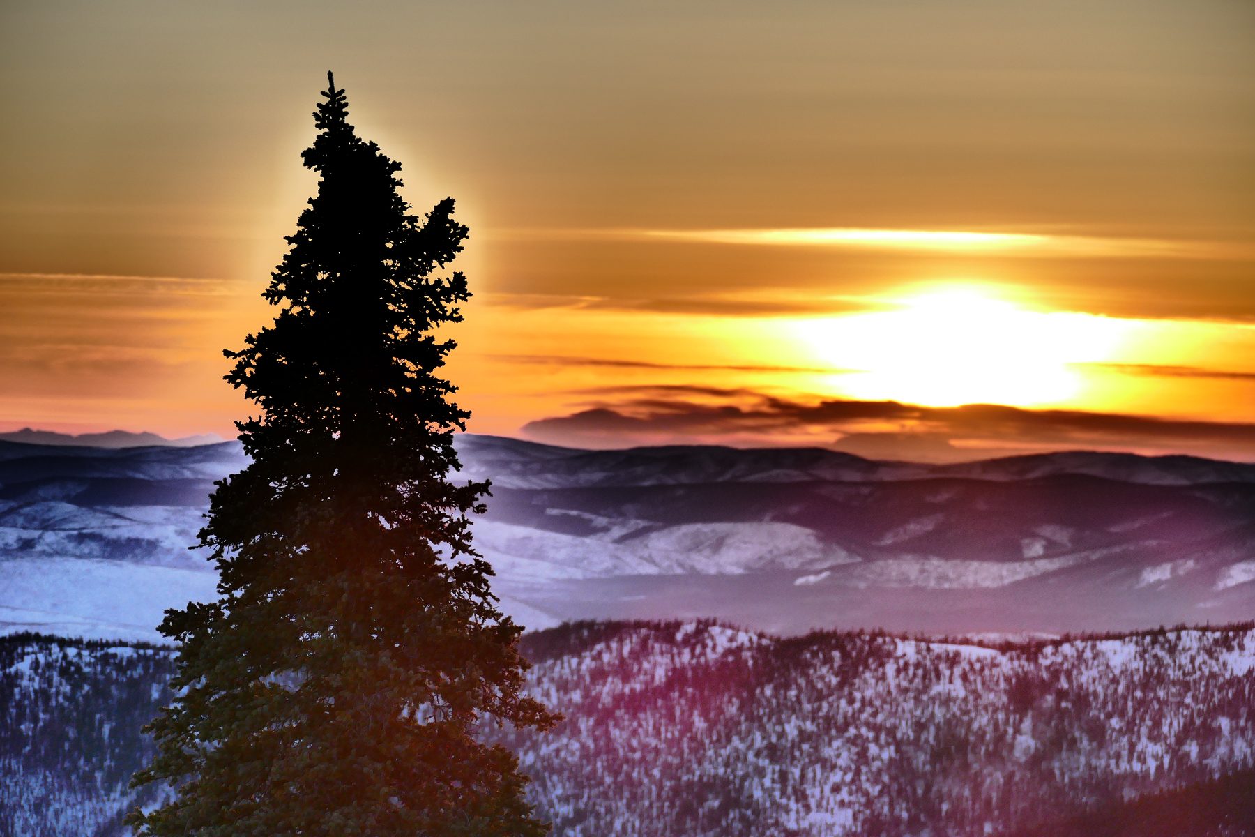 Sunny winter landscape