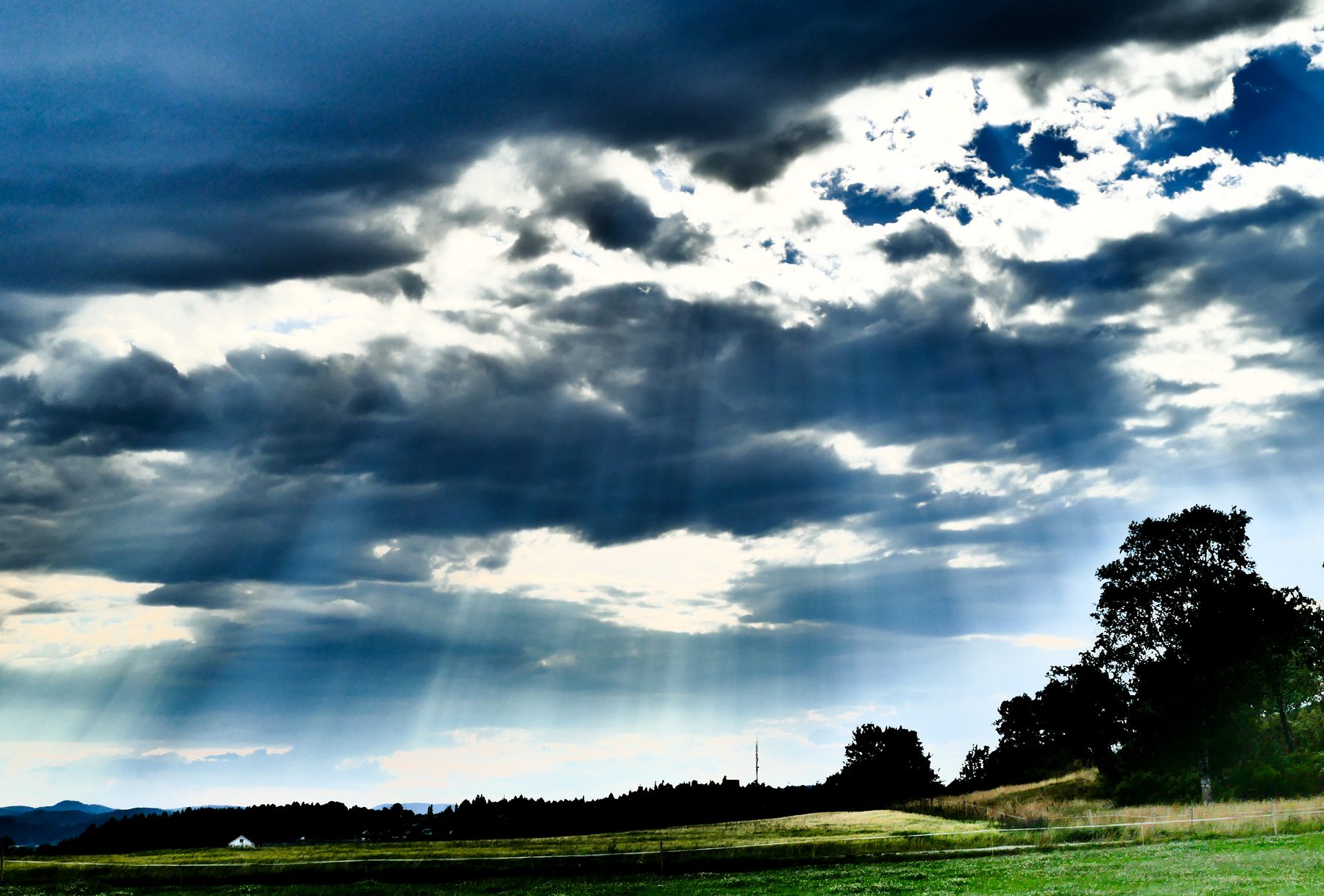 Sun rays