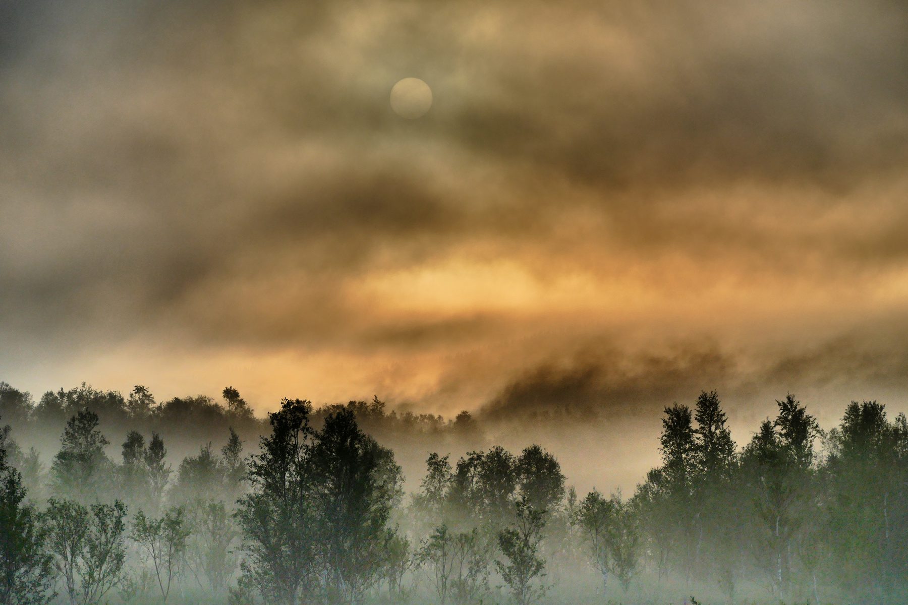 Fiery fog and the sun