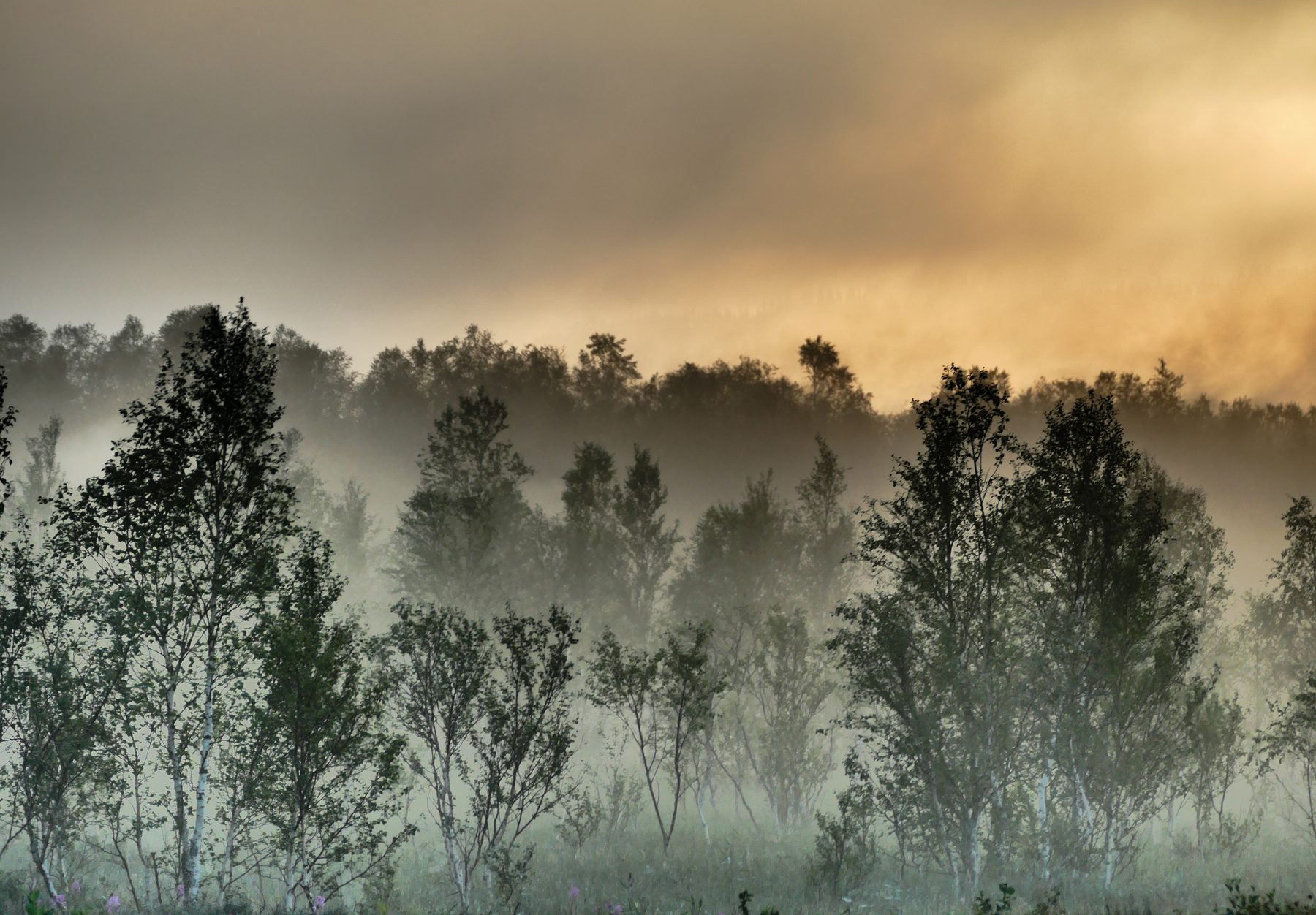 Smoking landscape
