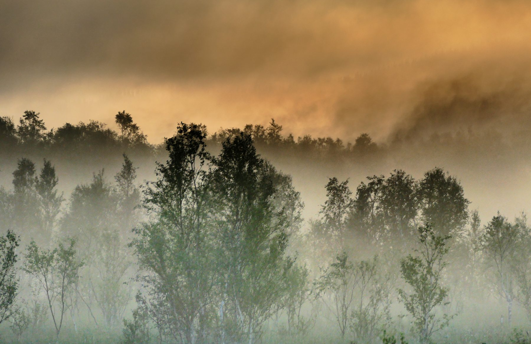 Smoking landscape