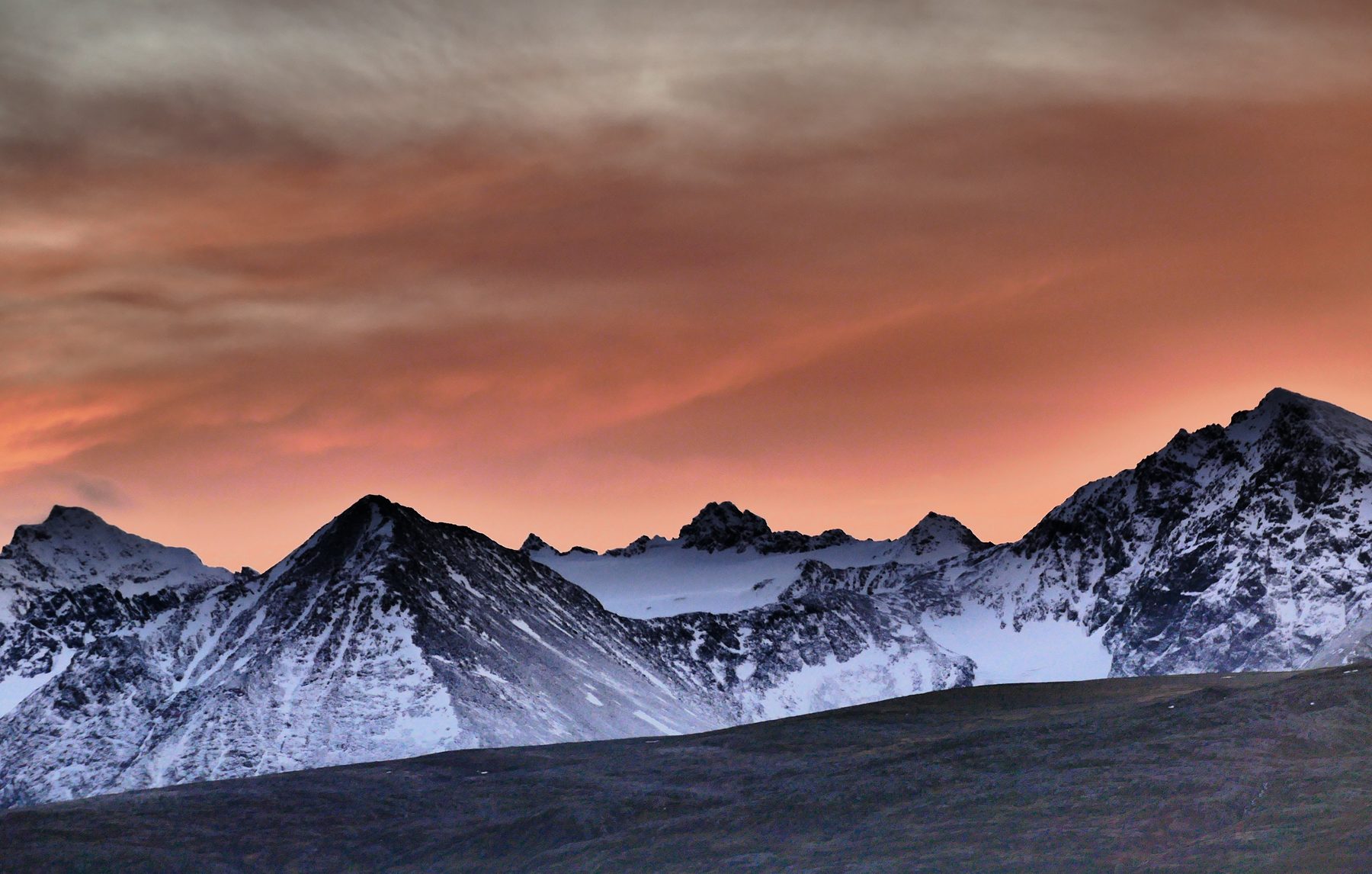 Pink landscape